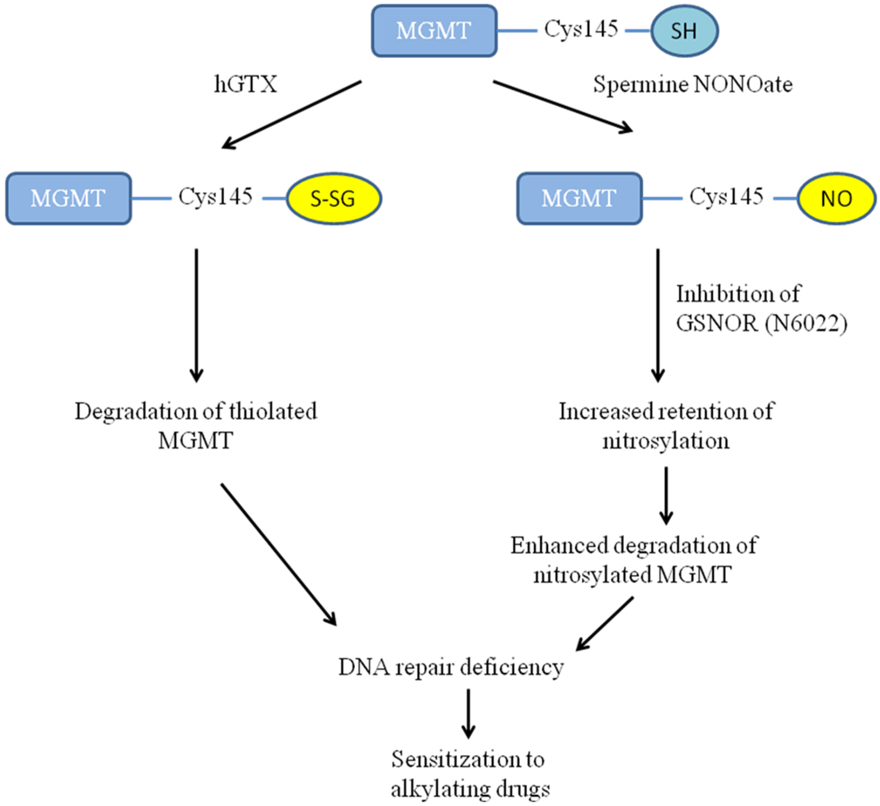 Diseases 13 00032 g017