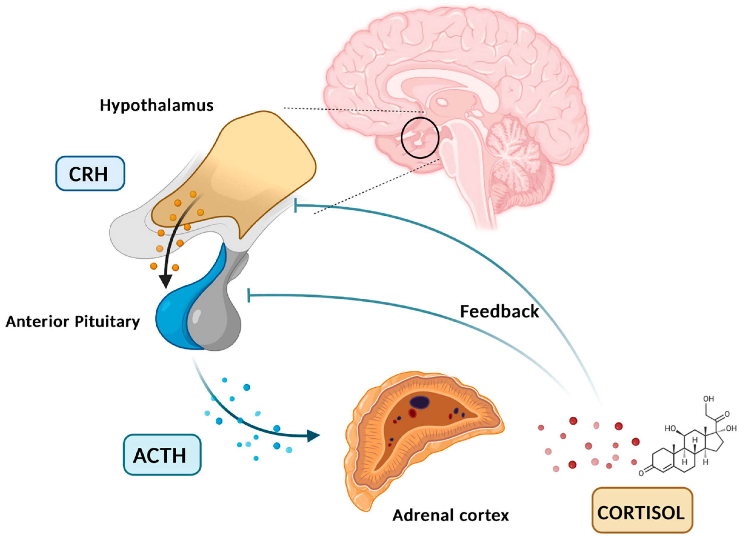 Diseases 13 00042 g002