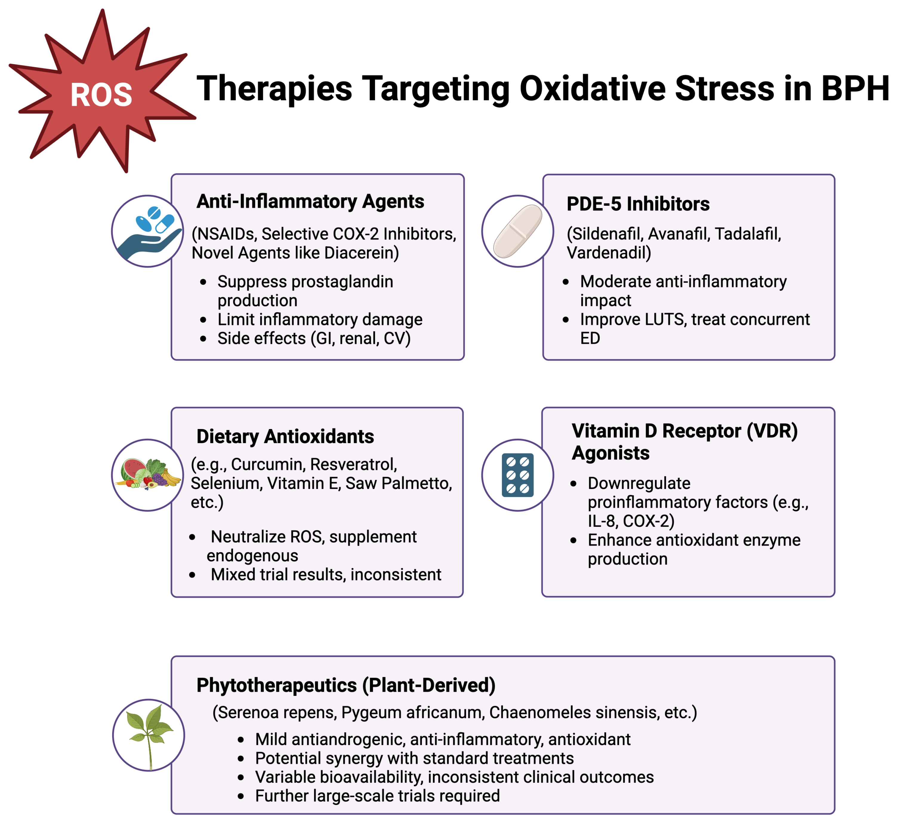 Diseases 13 00053 g002
