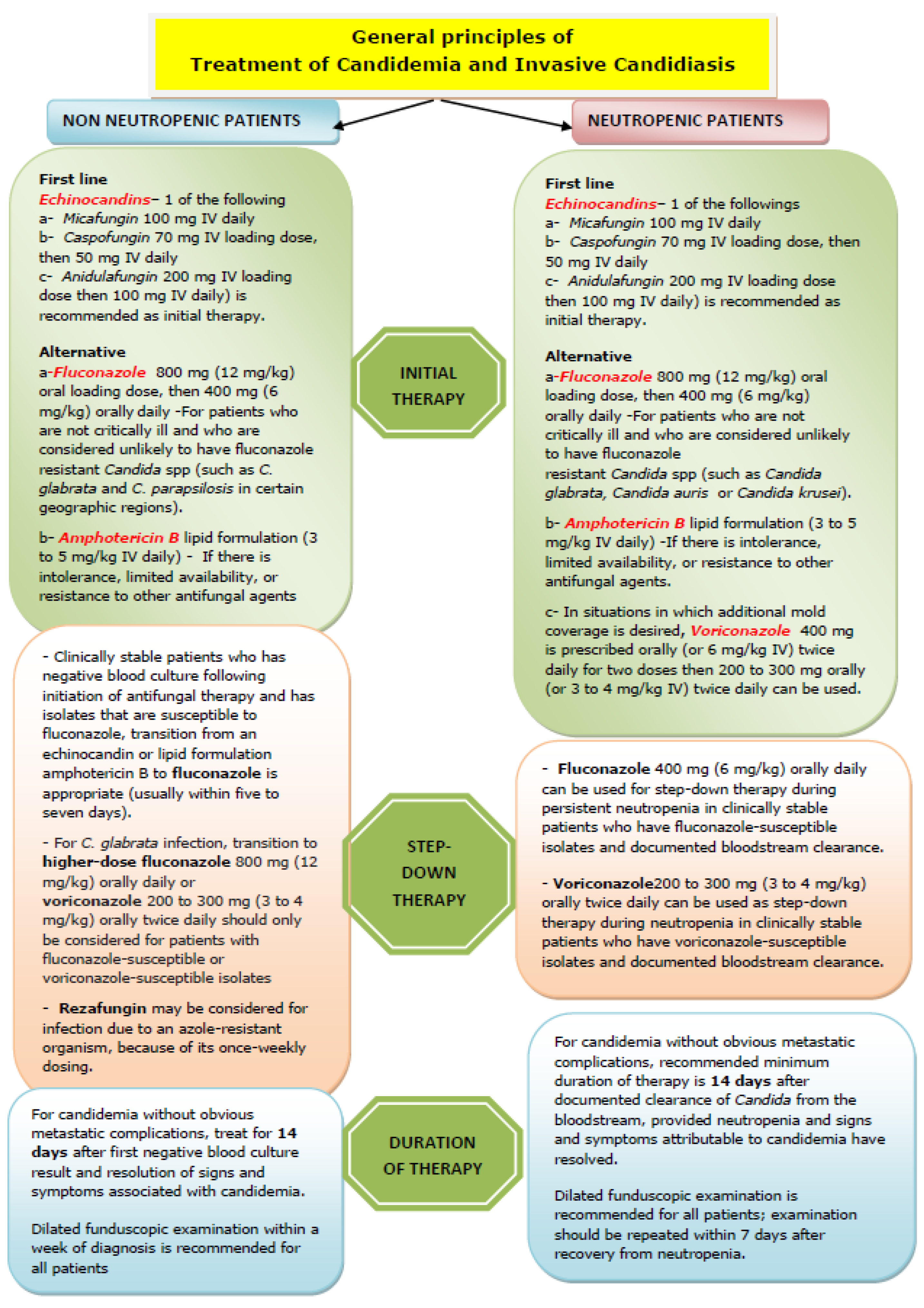Diseases 13 00093 g001