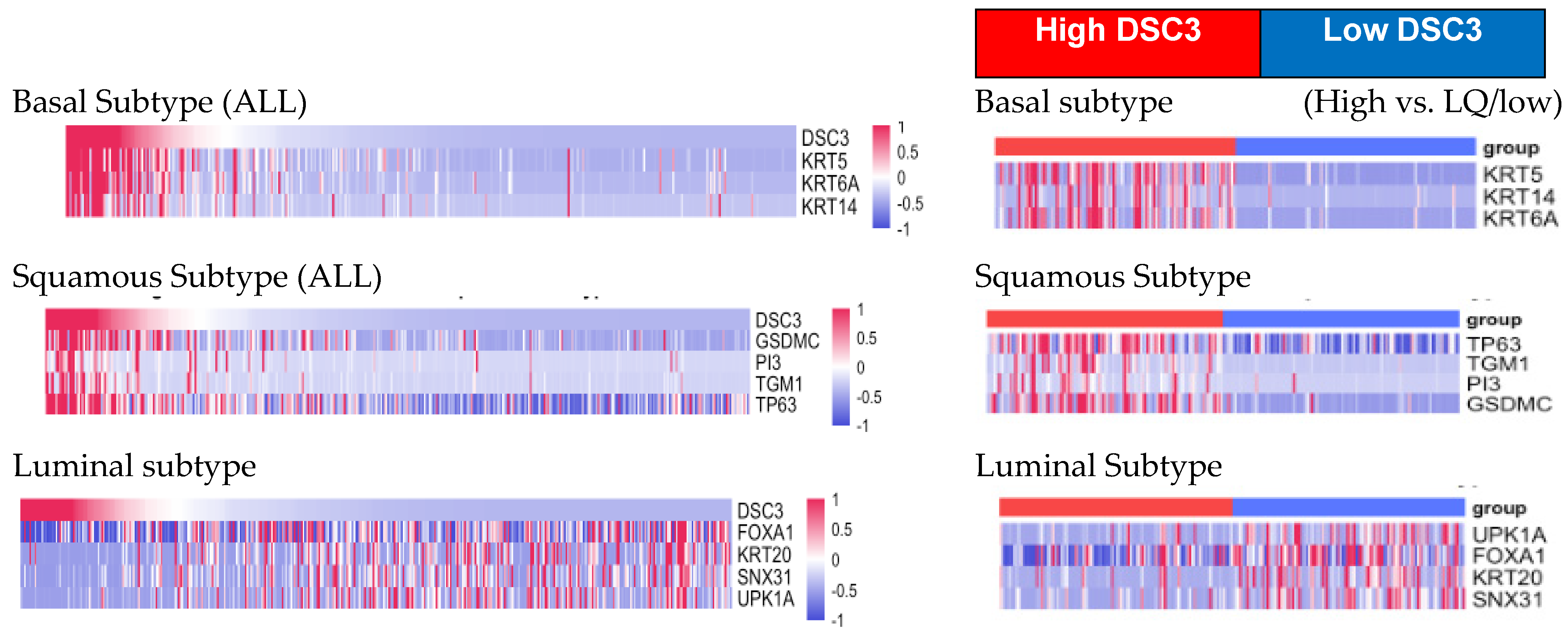Diseases 13 00131 g003
