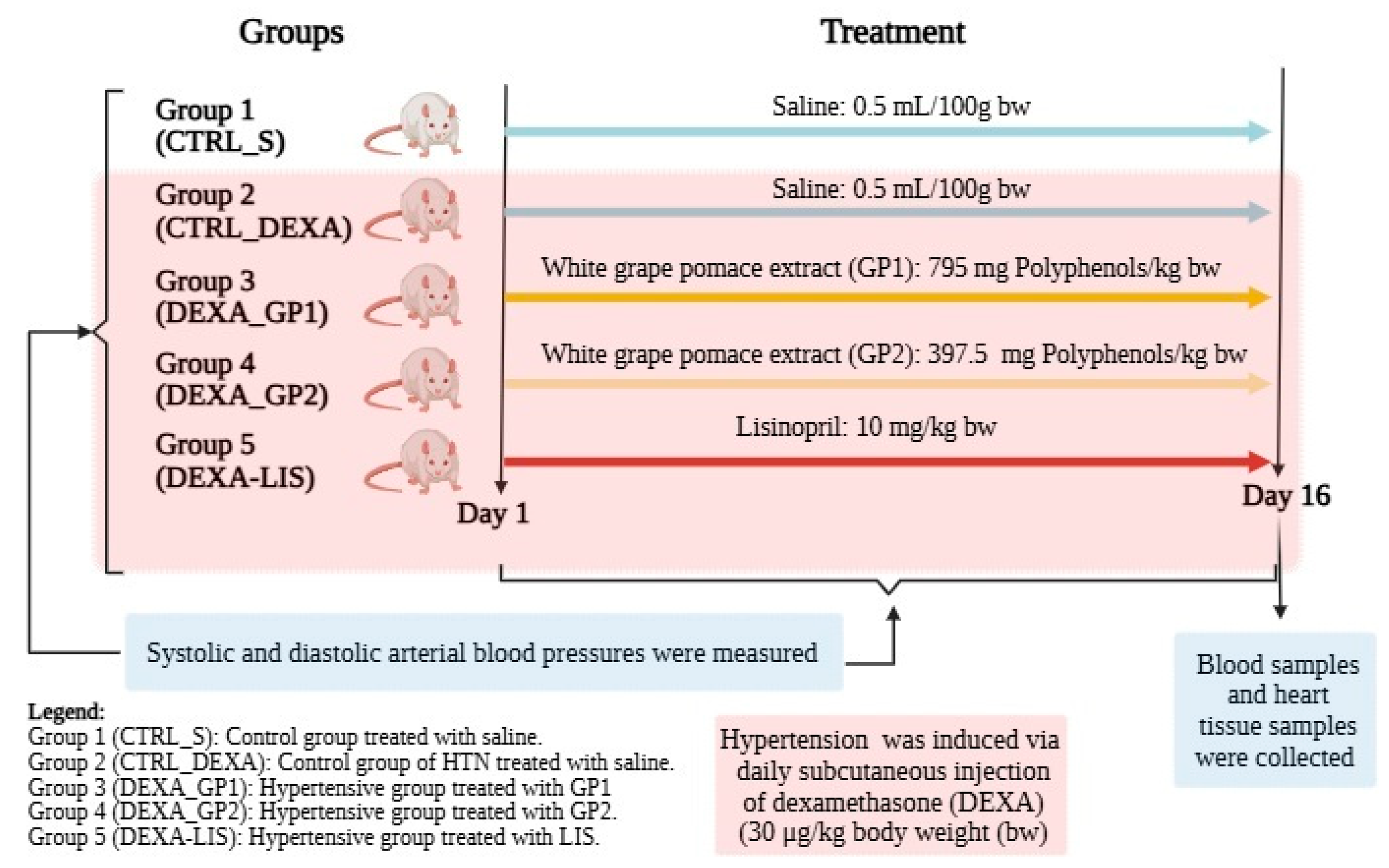 Diseases 13 00132 g001