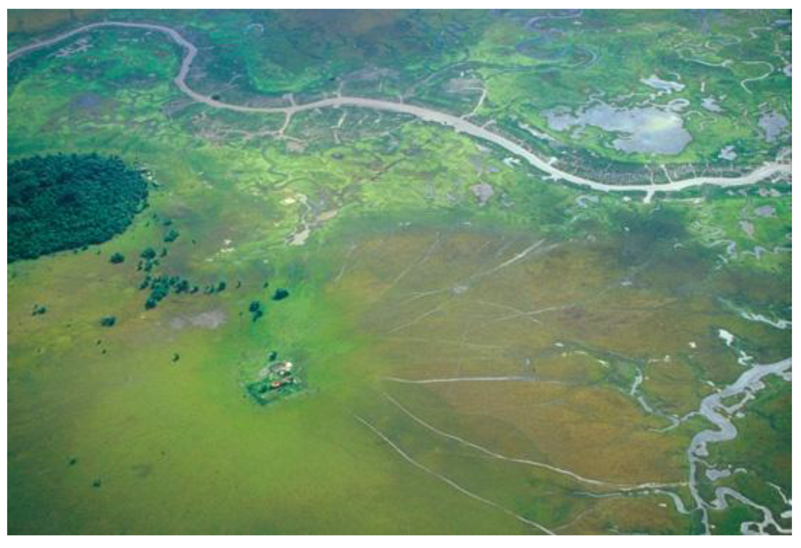 Diversity | Free Full-Text | Long-Term Human Induced Impacts on Marajó  Island Landscapes, Amazon Estuary