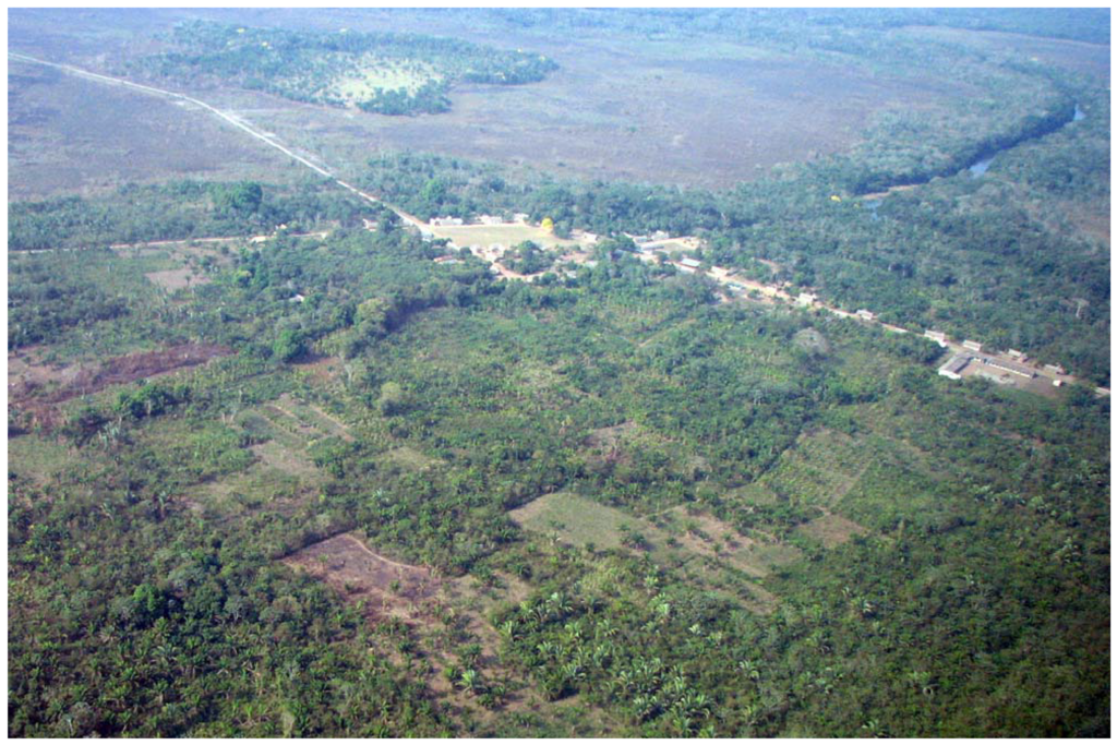 Diversity | Free Full-Text | The Transformation of Environment into  Landscape: The Historical Ecology of Monumental Earthwork Construction in  the Bolivian Amazon