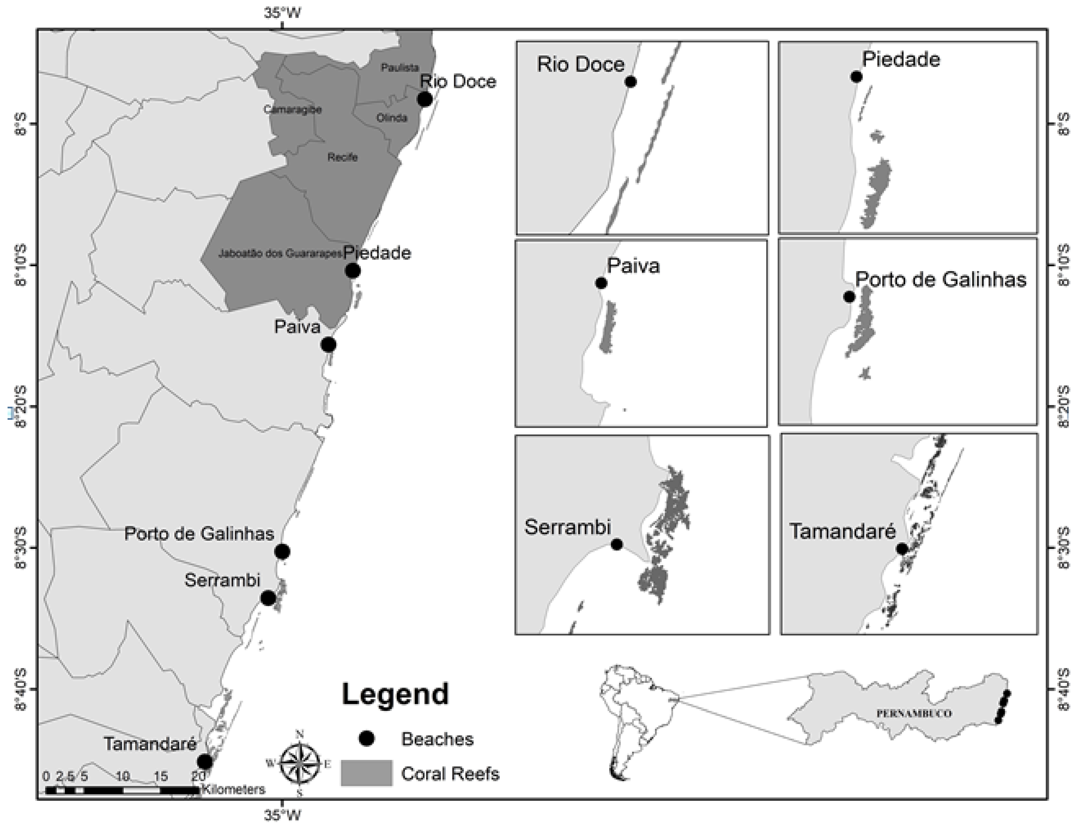 Location of the coral reef regions along the Brazilian coast.