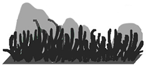 Diversity 11 00025 i003