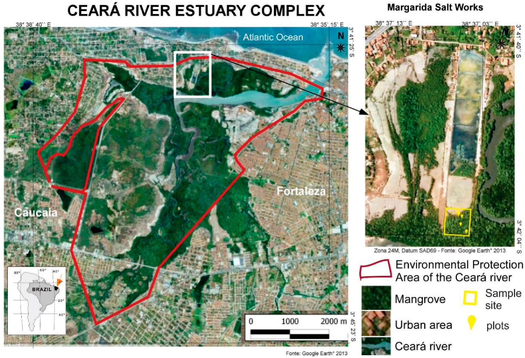 Diversity Free Full Text Natural Regeneration Of The Mangrove Vegetation On Abandoned Salt Ponds In Ceara In The Semi Arid Region Of Northeastern Brazil