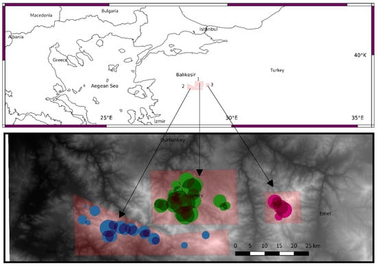 Diversity Free Full Text Factors Influencing Epiphytic Lichen Species Distribution In A Managed Mediterranean Pinus Nigra Arnold Forest Html