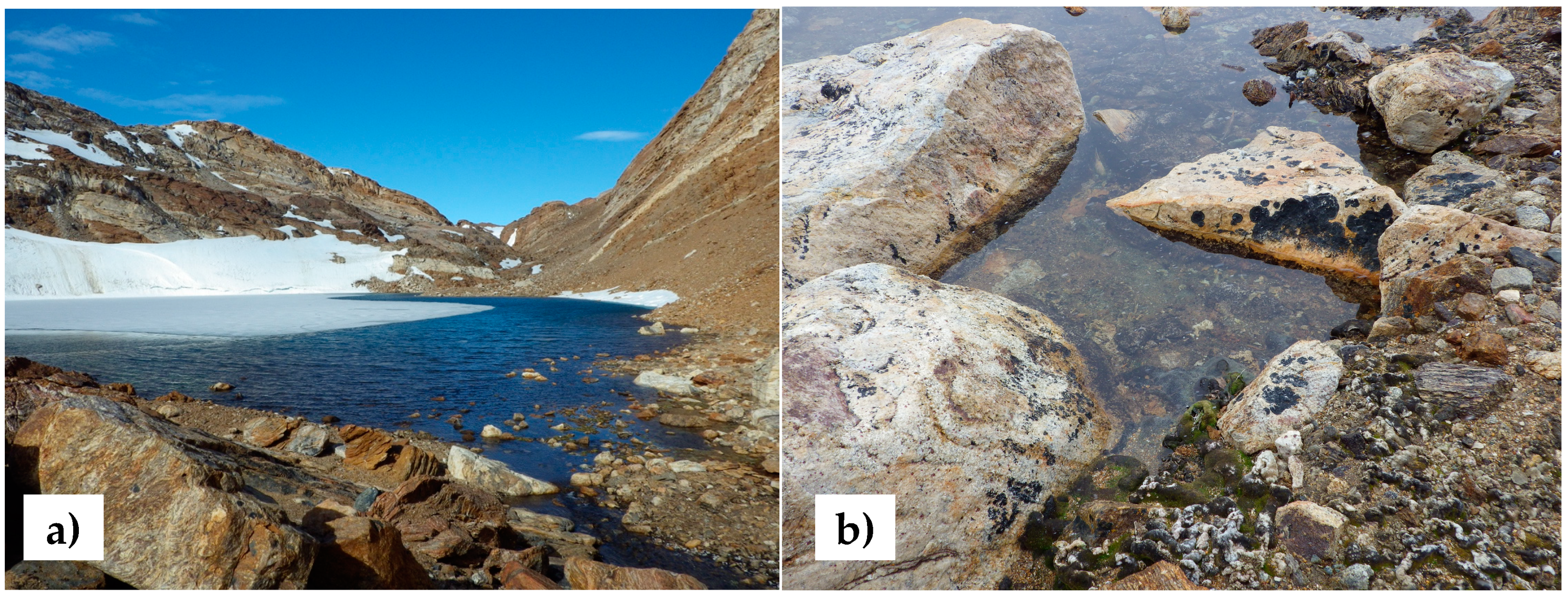 Diversity 11 00105 g001 Diversity 11 00105 g001