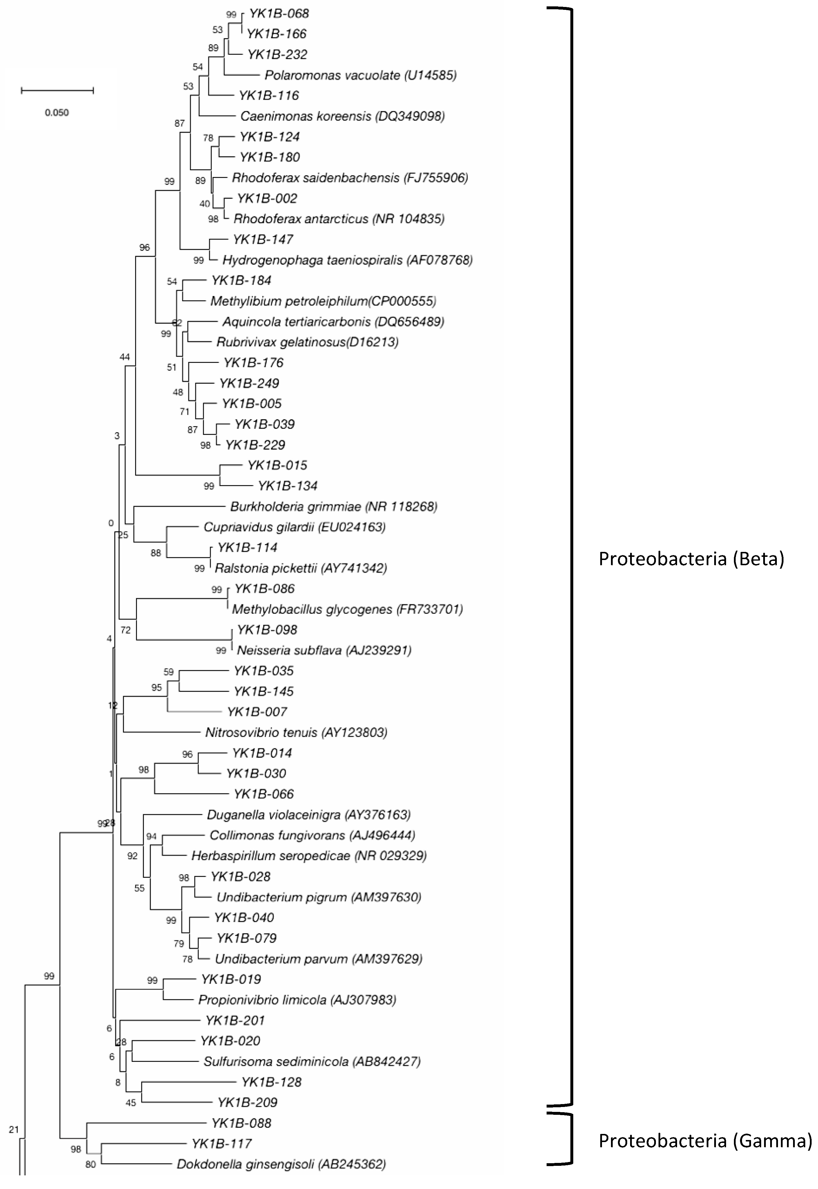 Diversity 11 00105 g005 Diversity 11 00105 g005