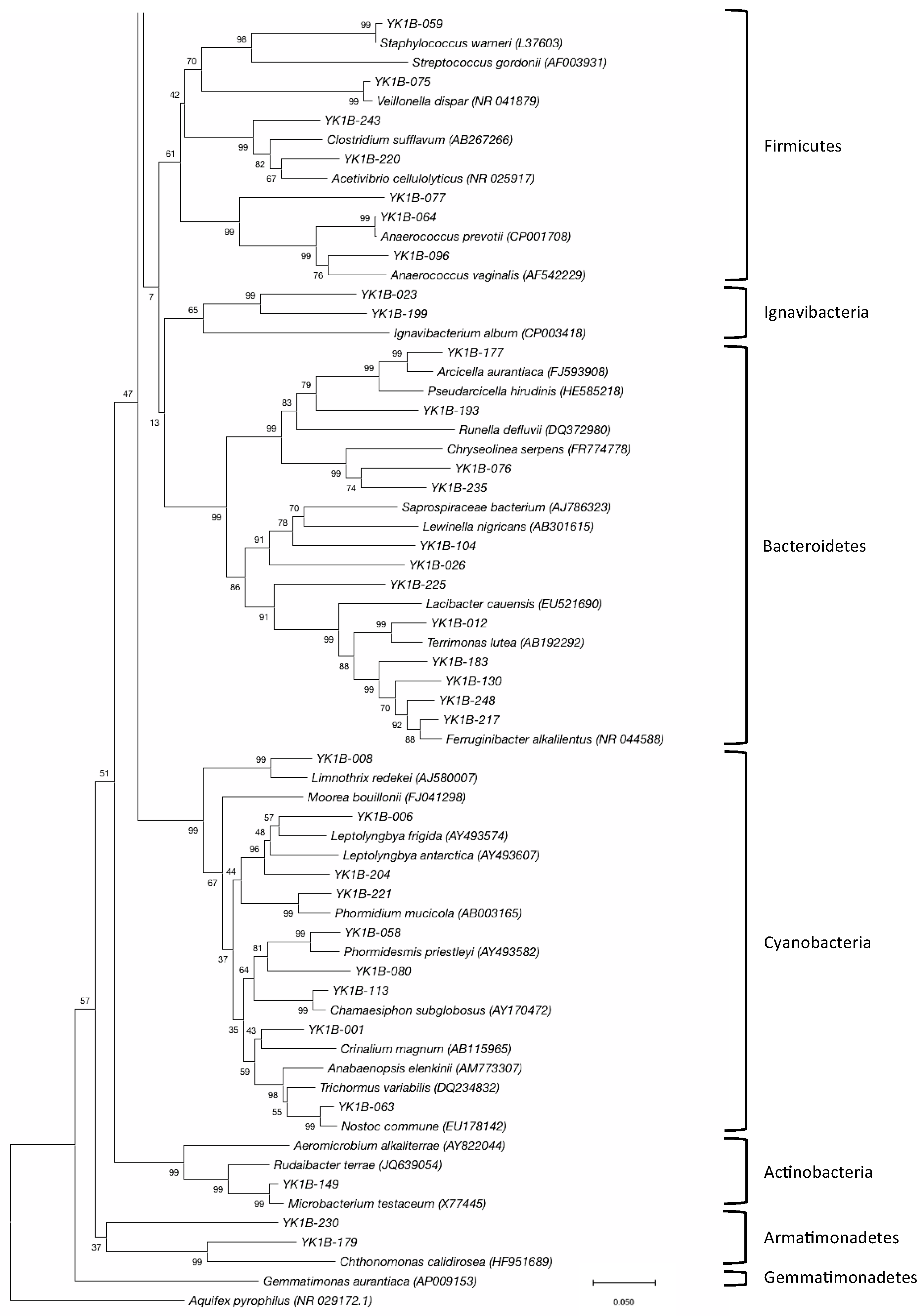 Diversity 11 00105 g007 Diversity 11 00105 g007
