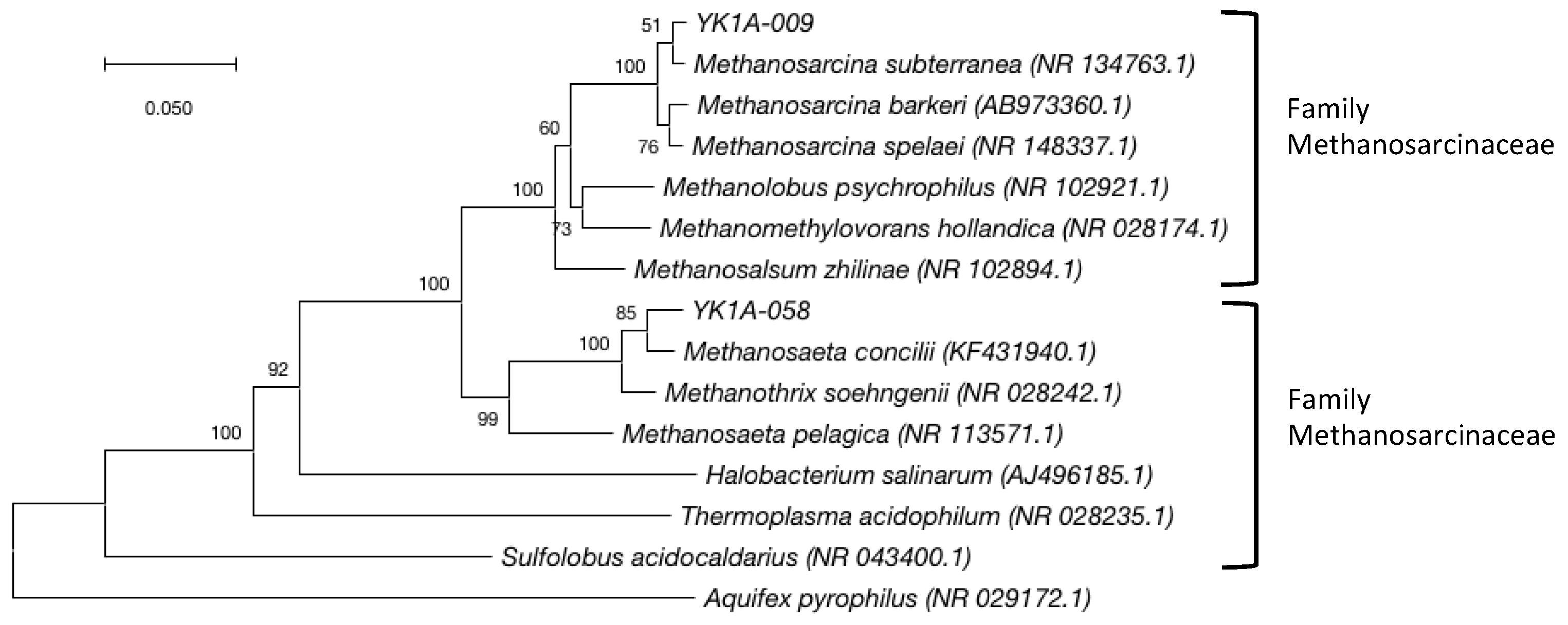 Diversity 11 00105 g008 Diversity 11 00105 g008