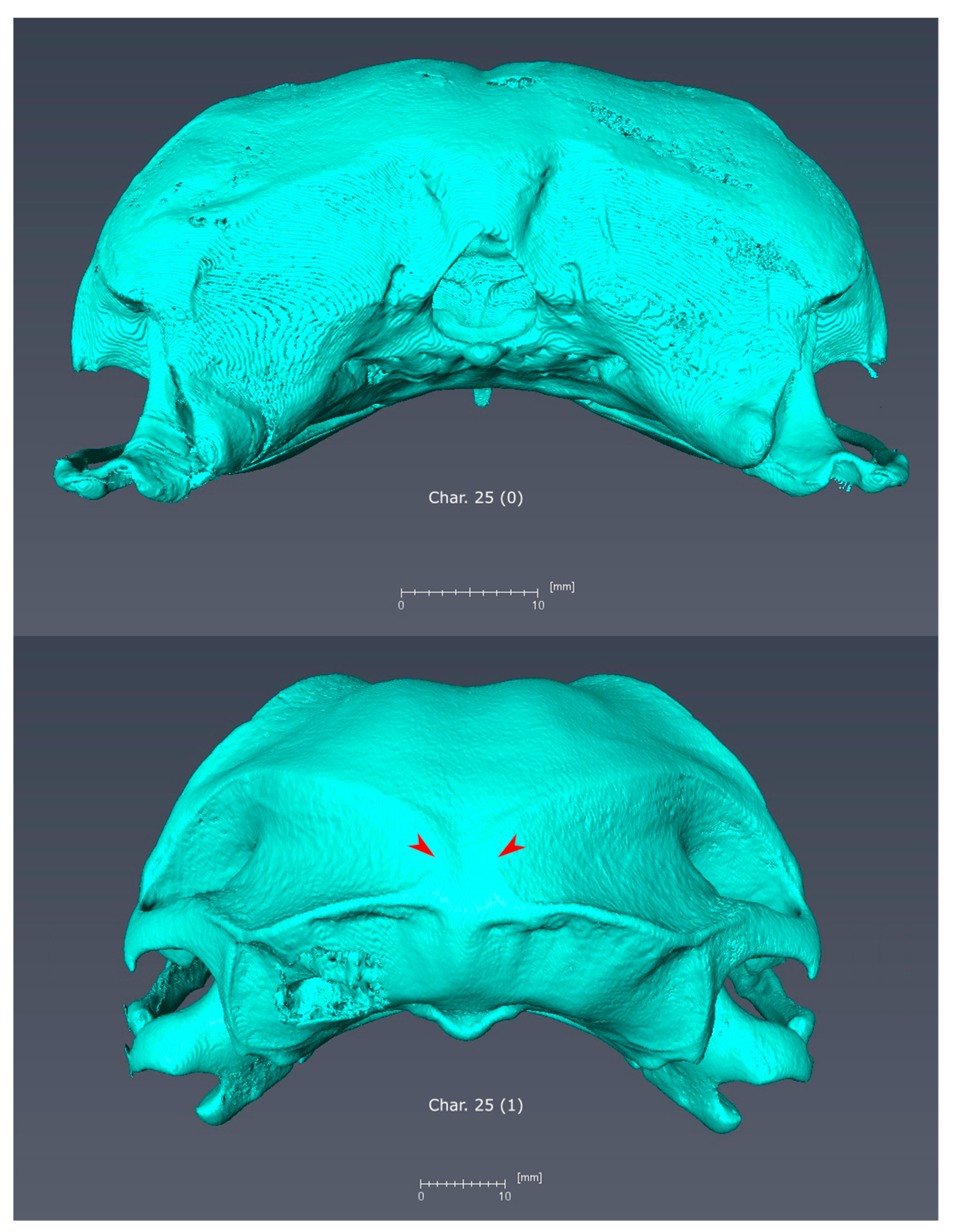 Diversity 11 00143 g0a5