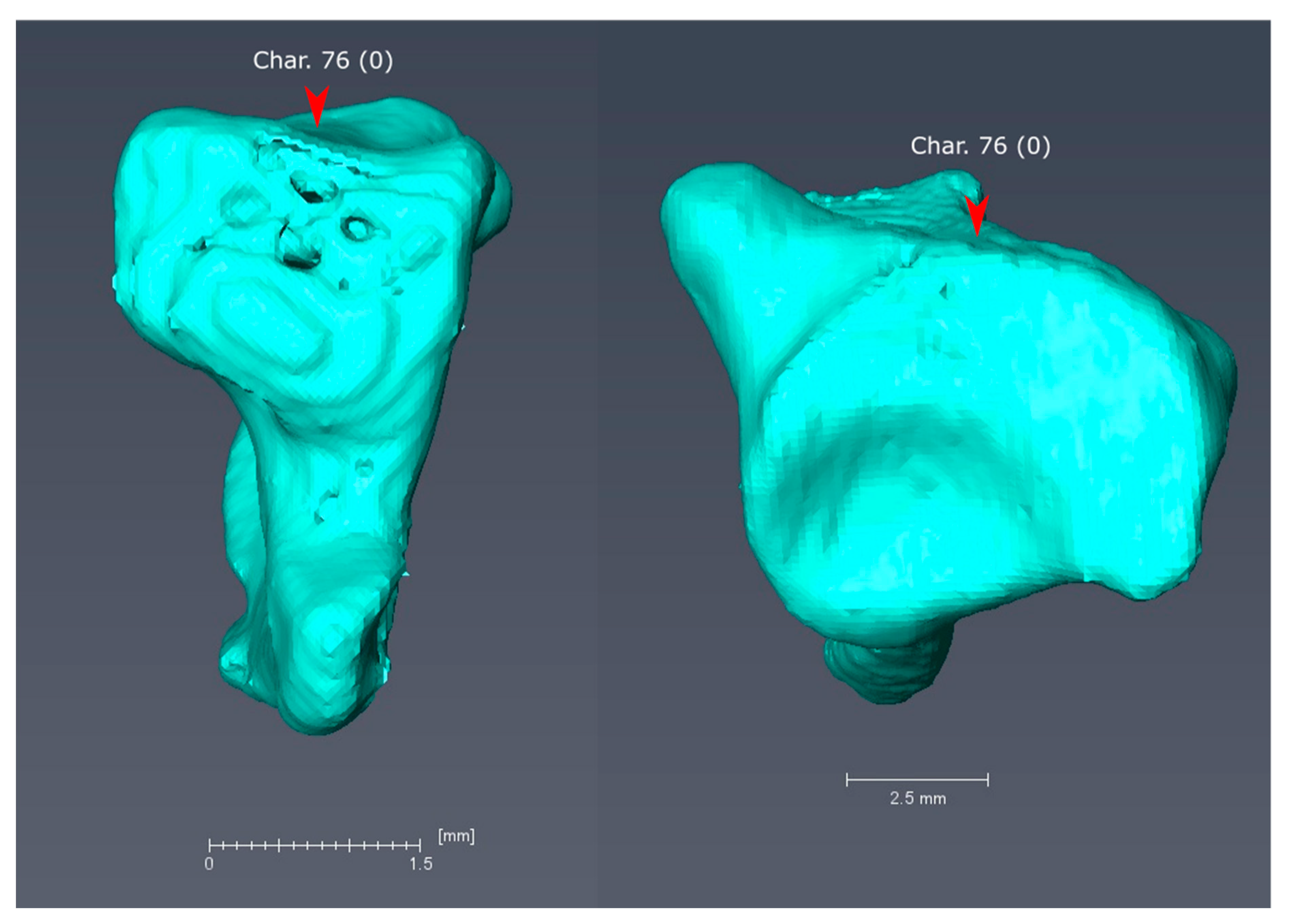Diversity 11 00143 g0a7