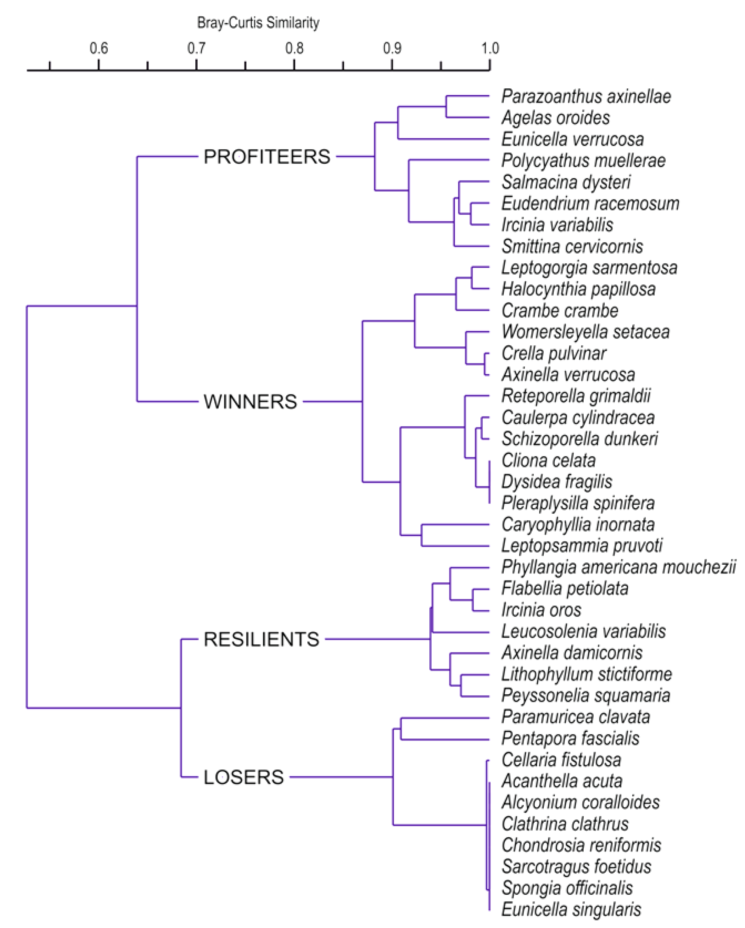 Diversity 11 00215 g003