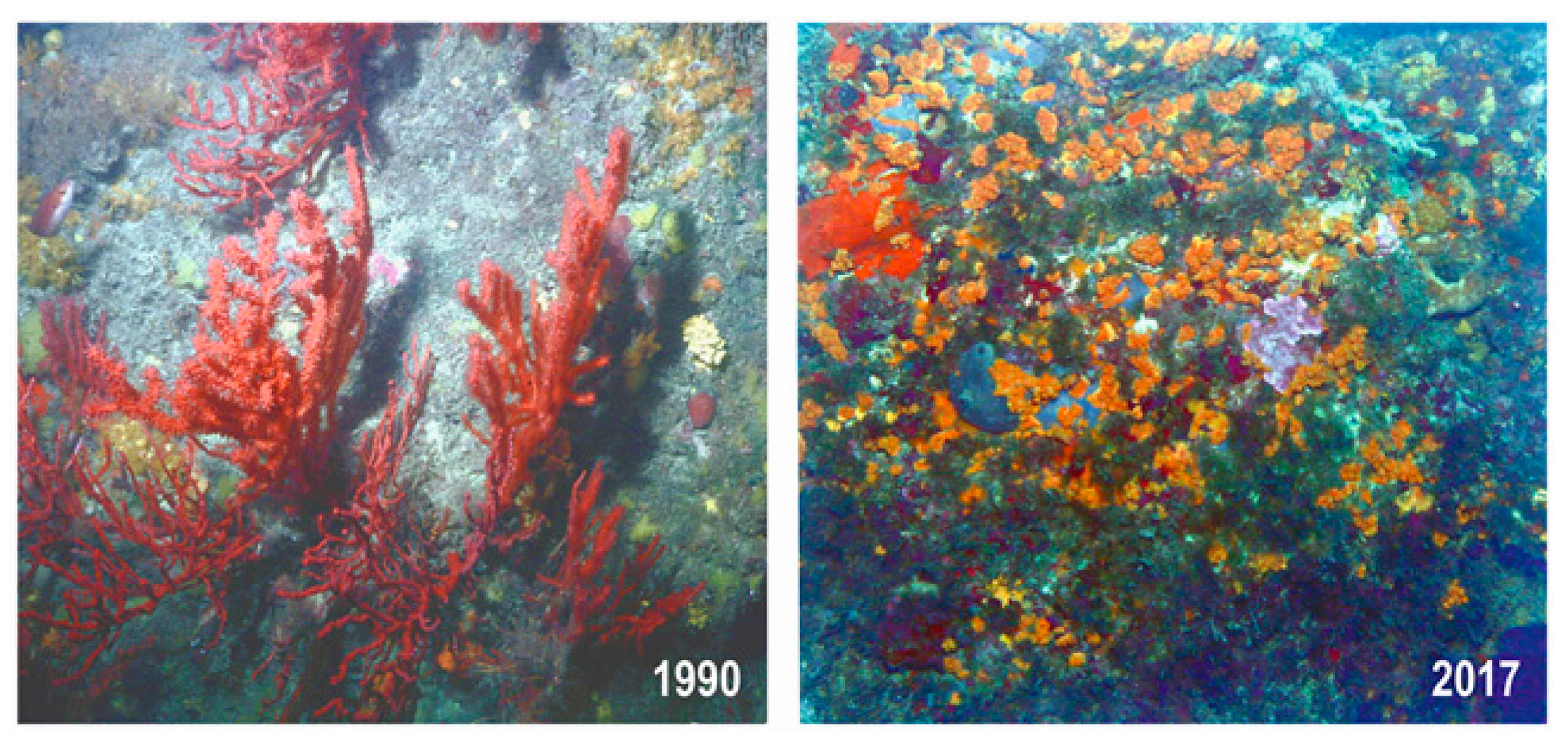 Diversity 11 00215 g007