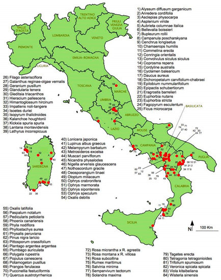 Diversity | Free Full-Text | New Chorological Data for the Italian ...