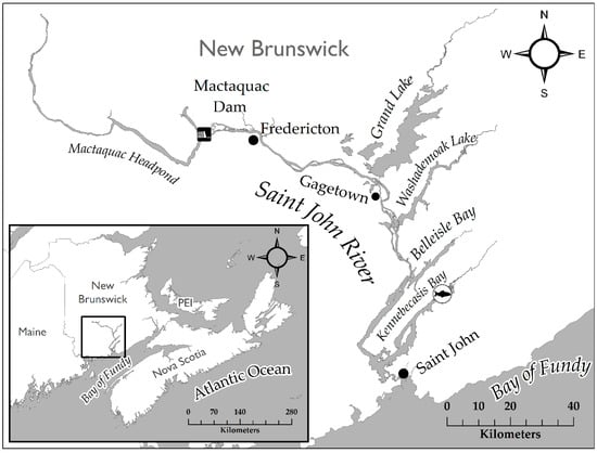 Location of the study area. A) The Fundy Basin and location of the