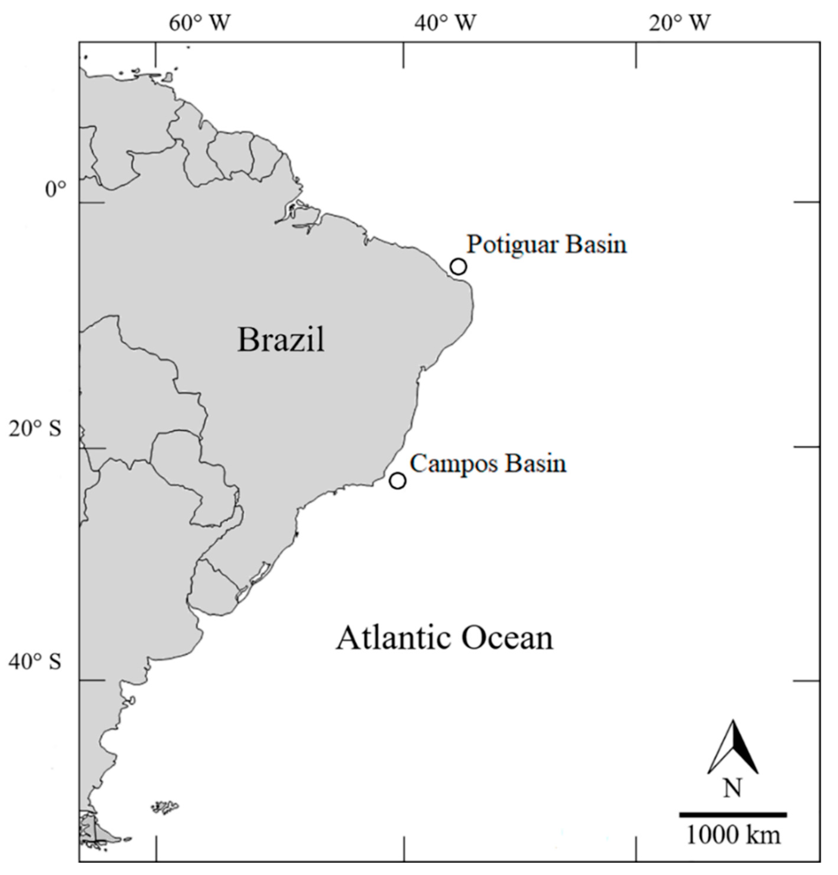Diversity | Free Full-Text | The Deep-Sea Genus Coronarctus (Tardigrada,  Arthrotardigrada) in Brazil, South-Western Atlantic Ocean, with the  Description of Three New Species