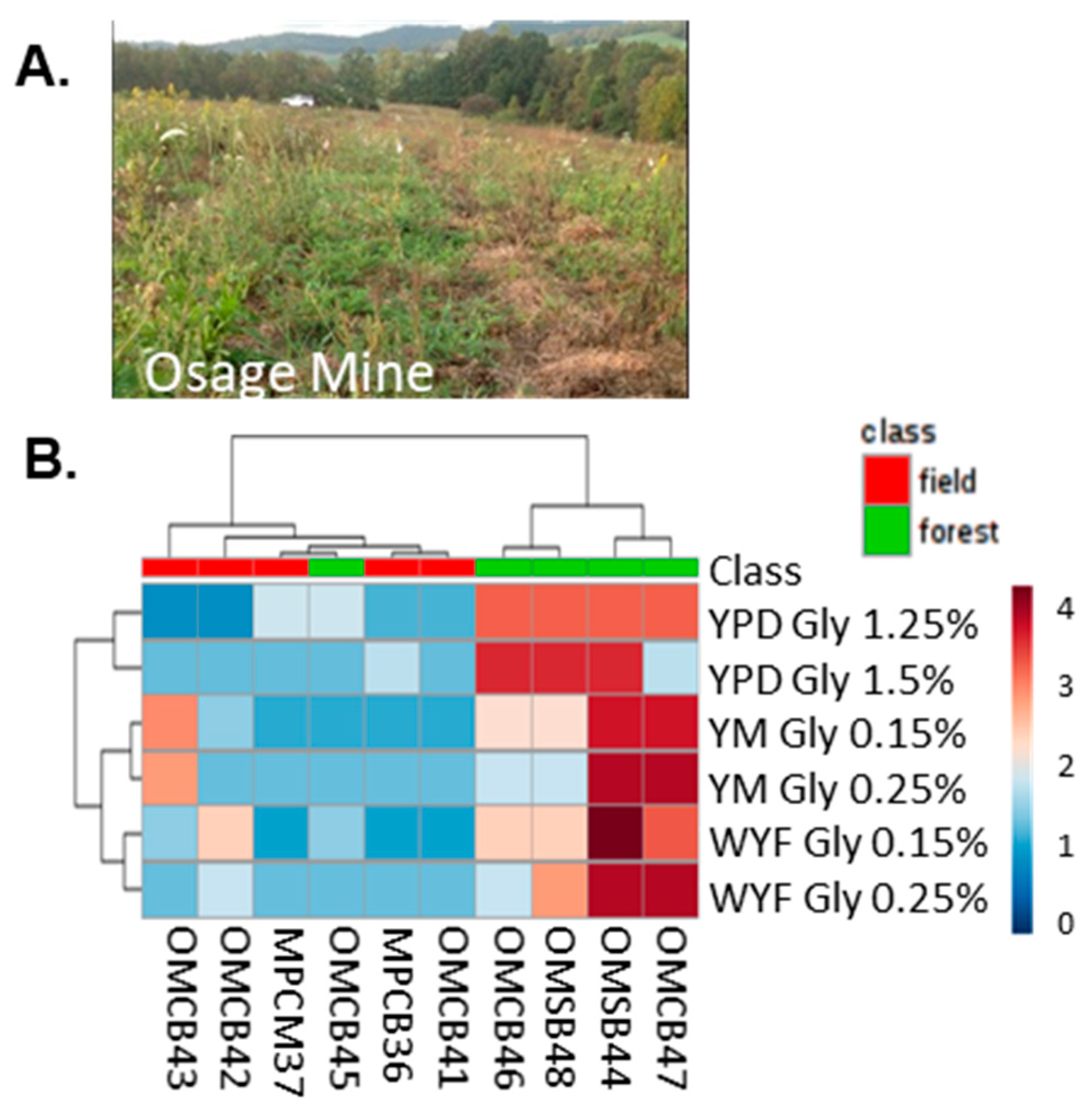 Diversity 12 00139 g006