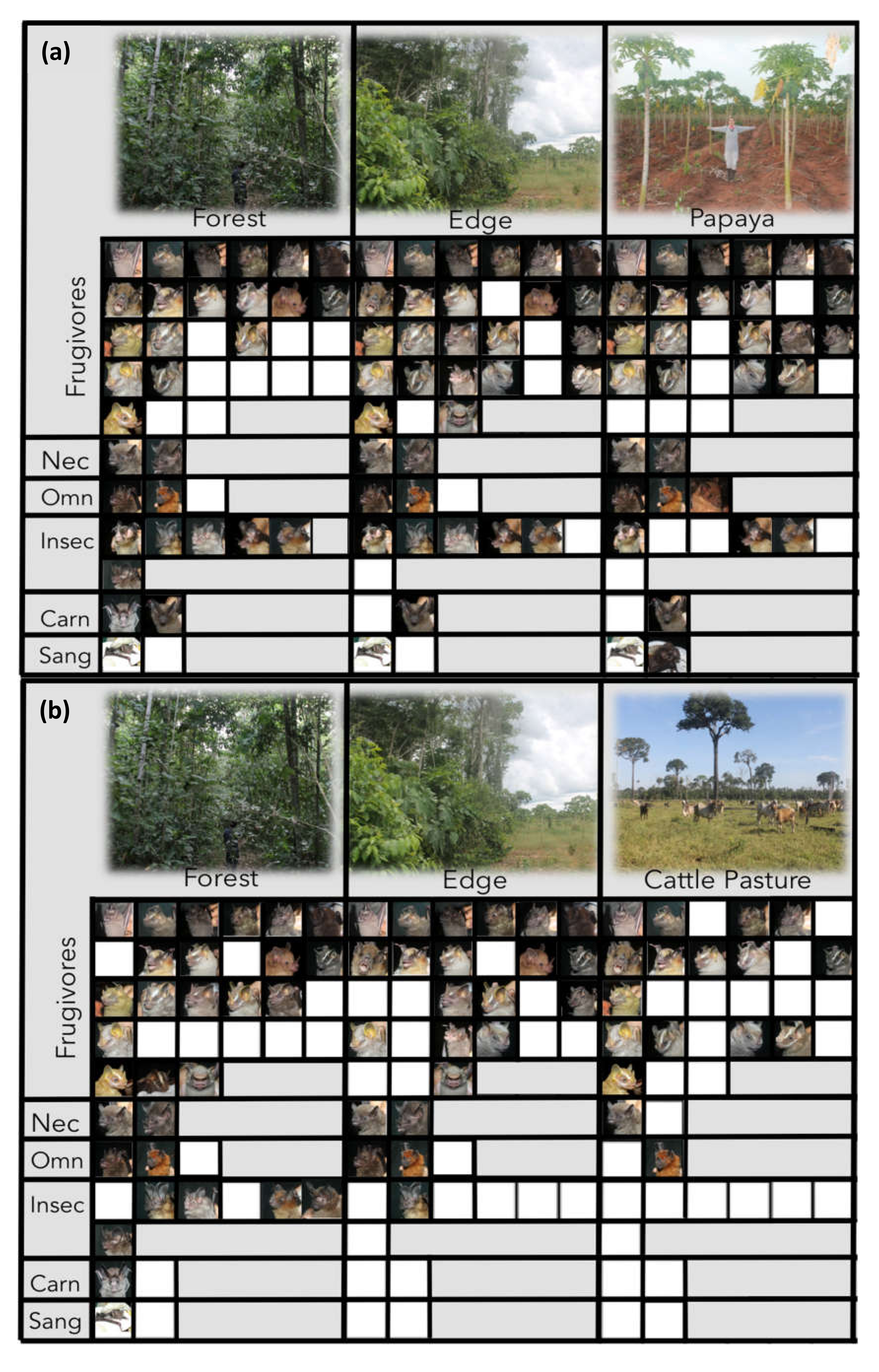 Diversity 12 00238 g007