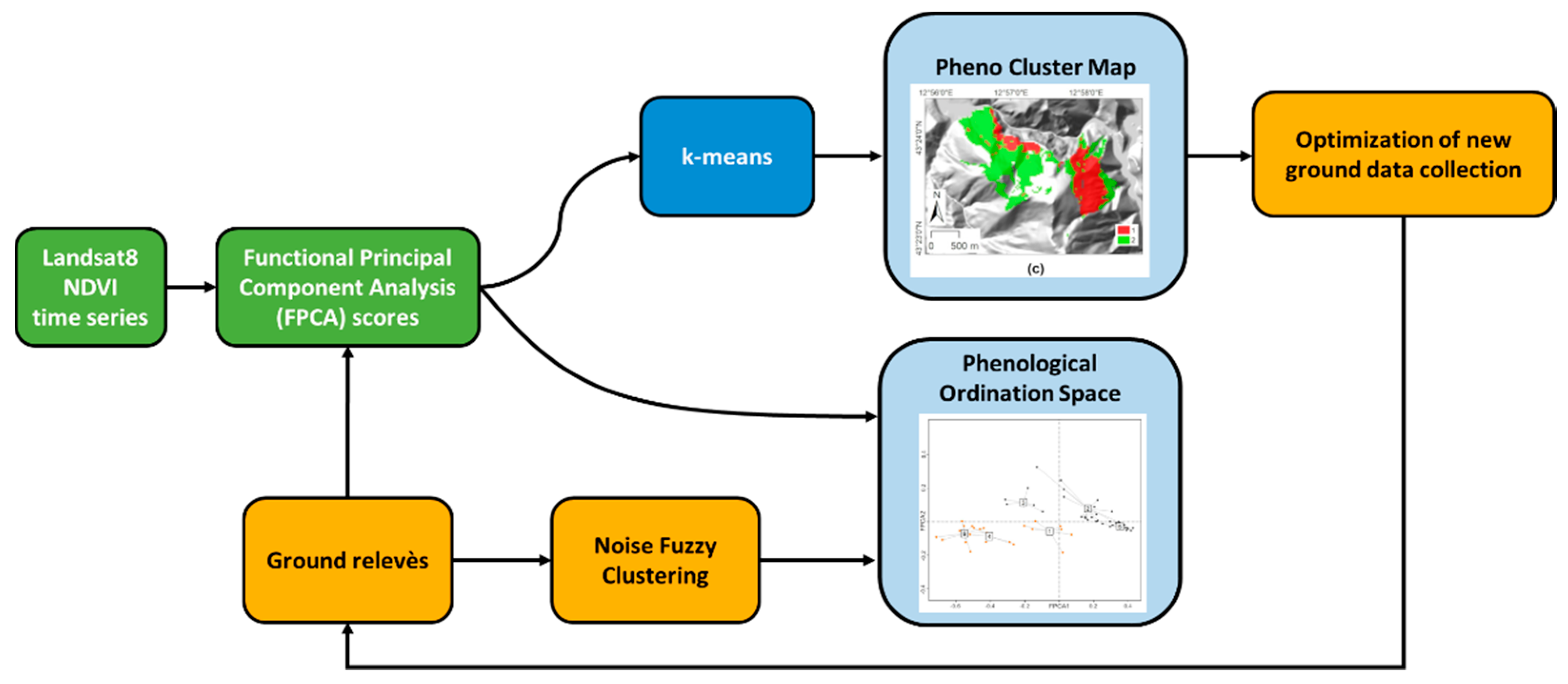 Diversity 12 00313 g001