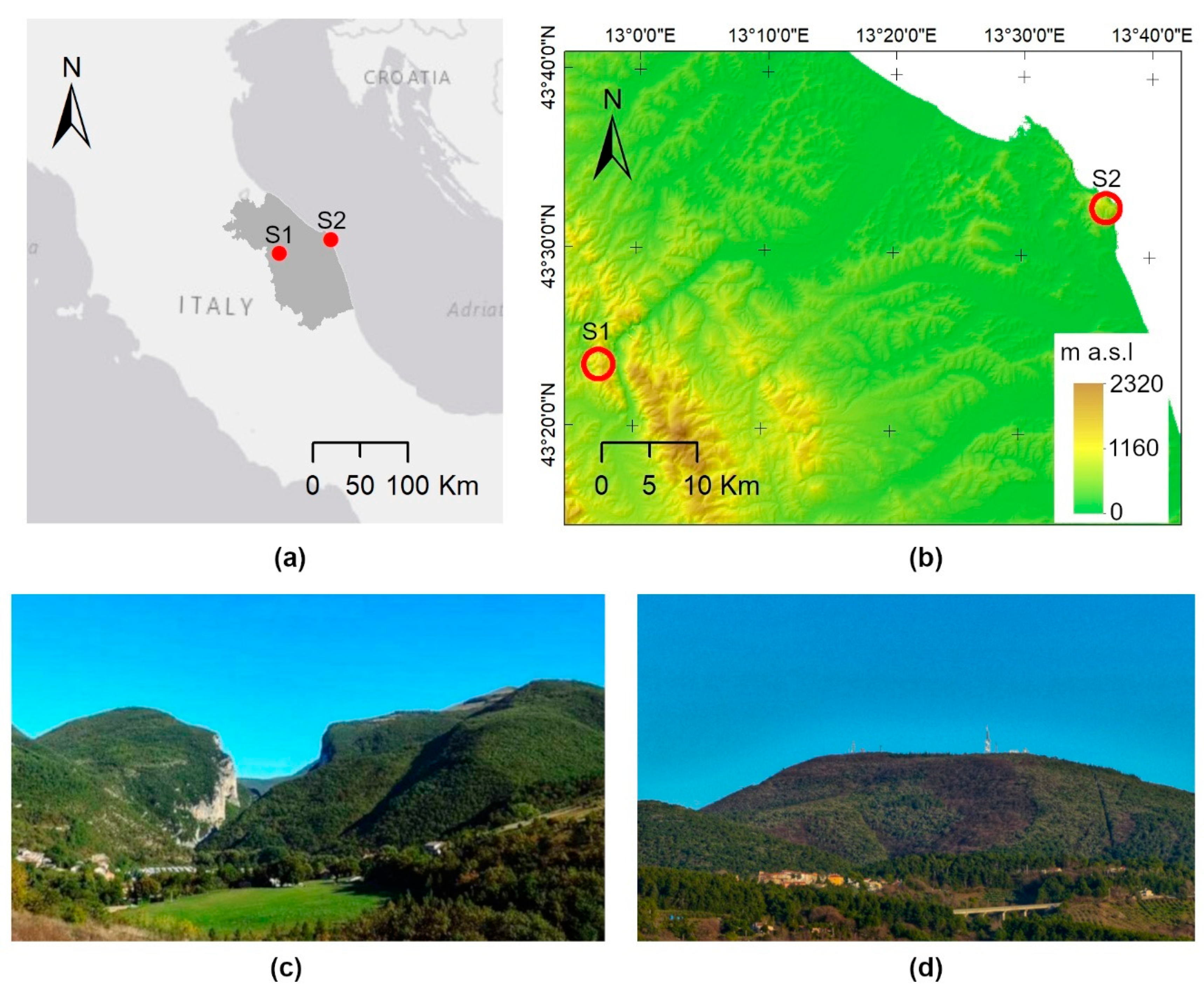 Diversity 12 00313 g002