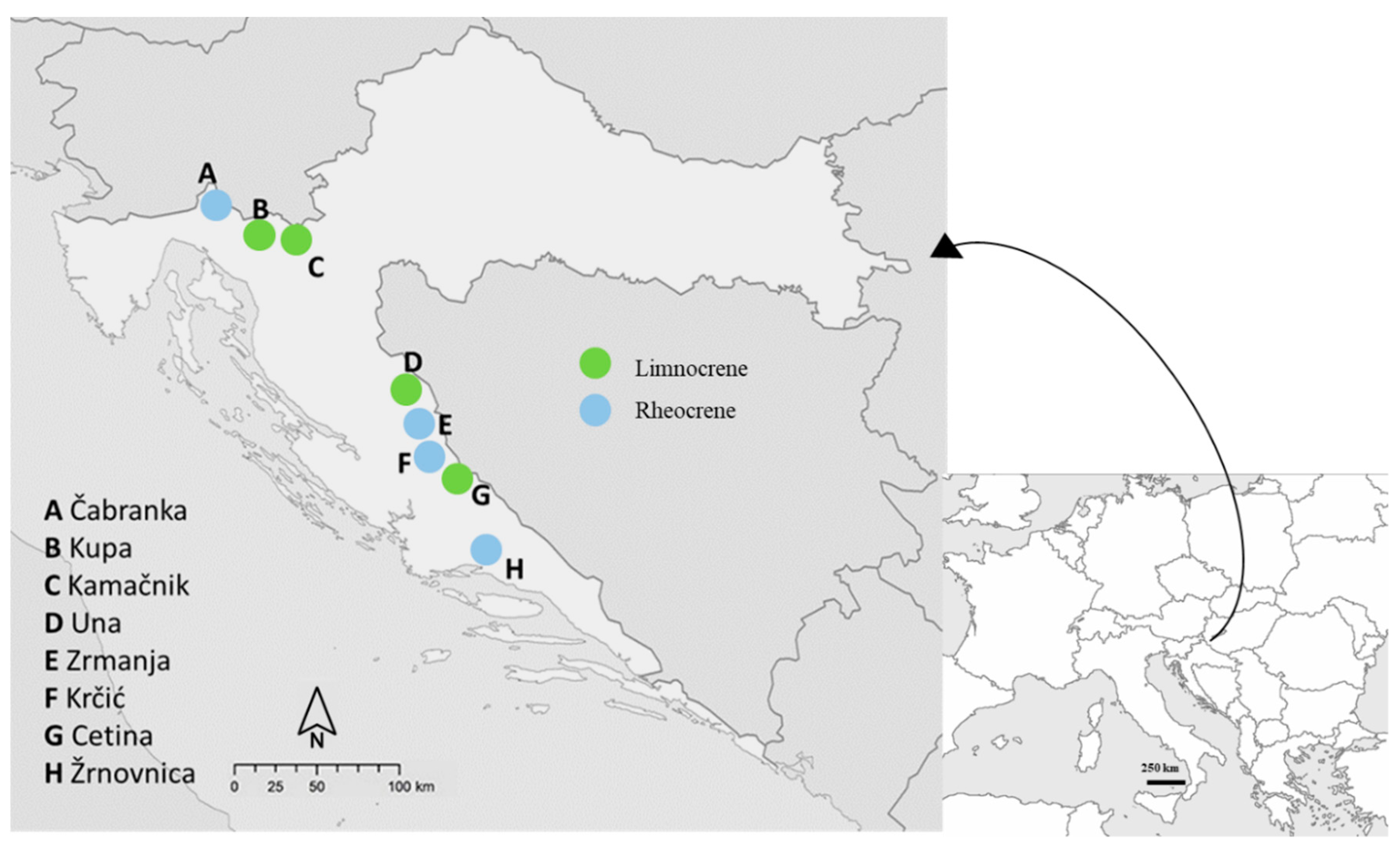 Diversity 12 00316 g001 Diversity 12 00316 g001