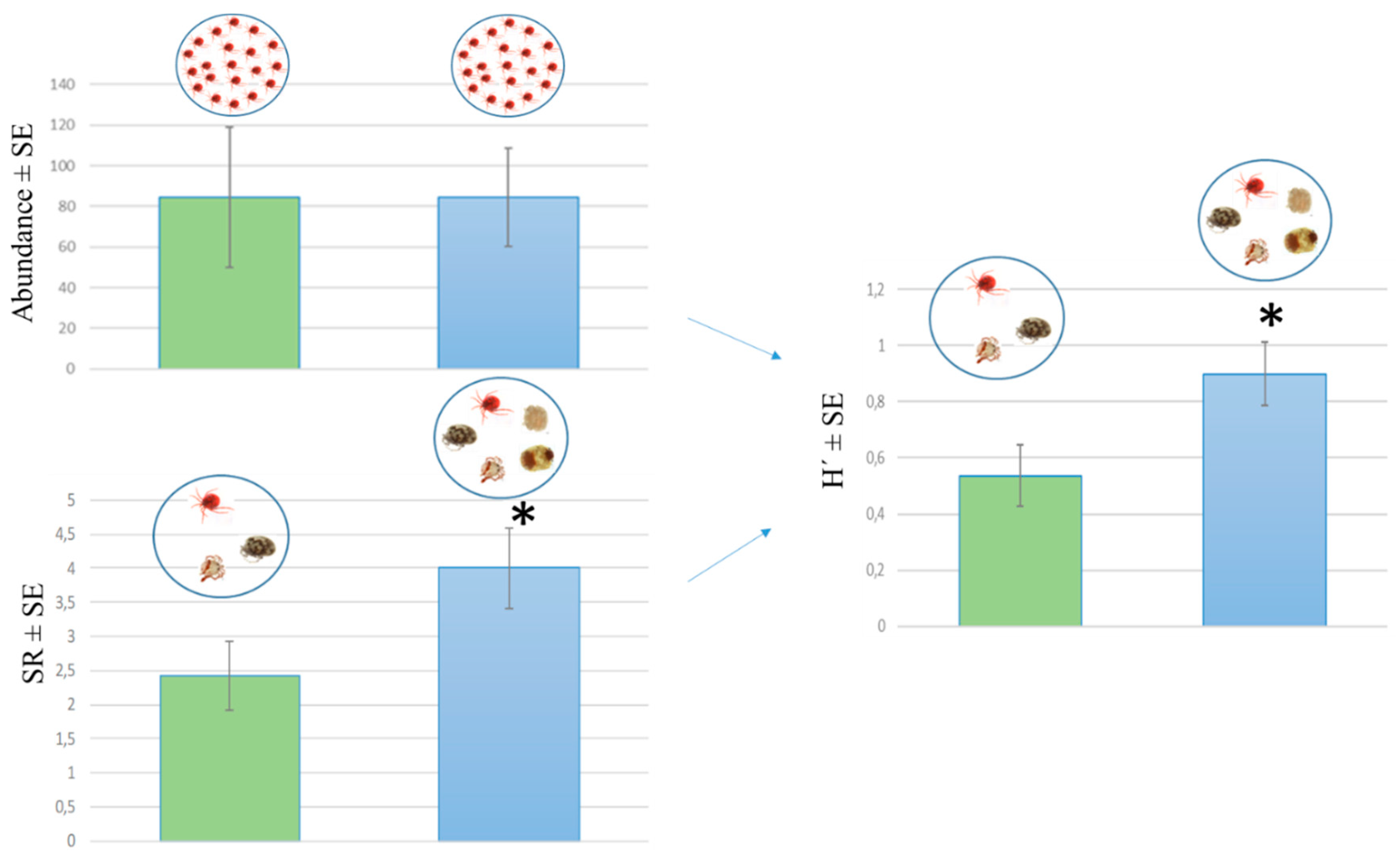 Diversity 12 00316 g003 Diversity 12 00316 g003