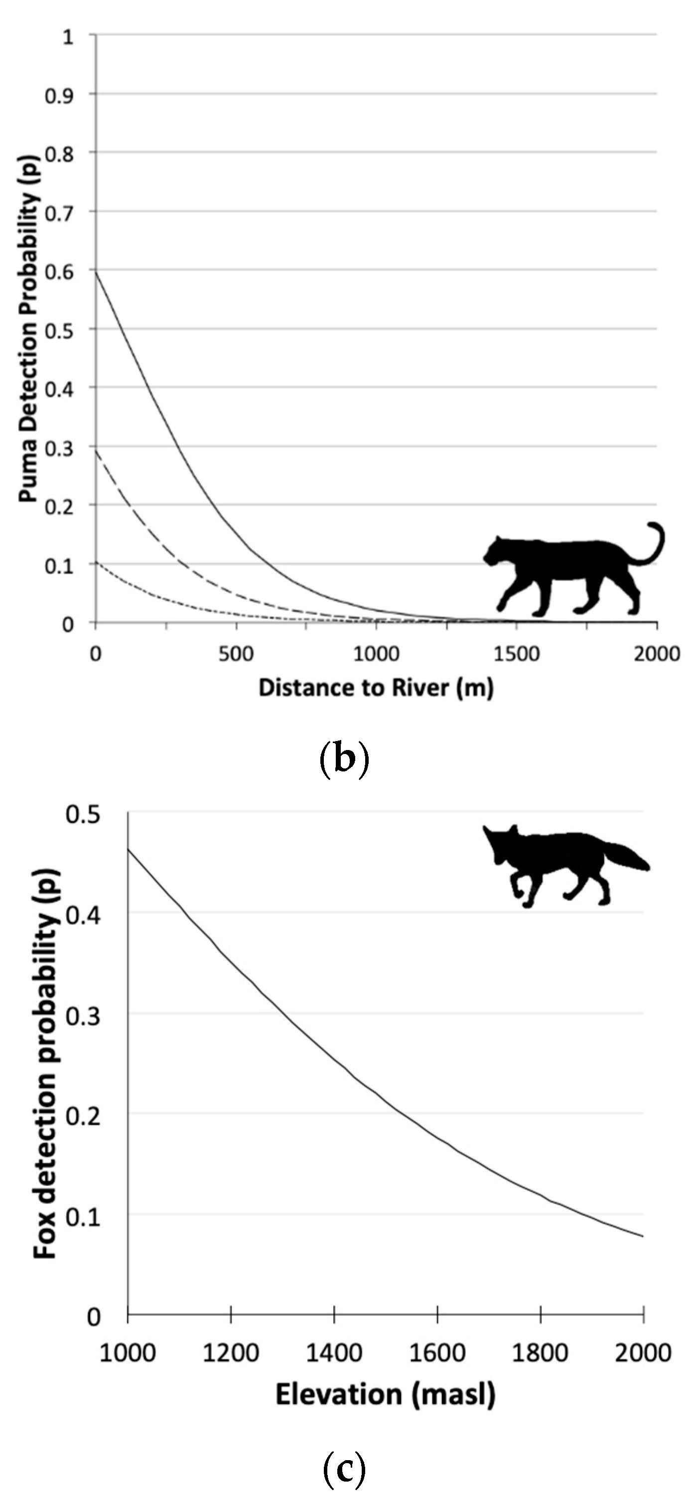 Diversity | Free Full-Text | Exotic Prey Facilitate Coexistence between  Pumas and Culpeo Foxes in the Andes of Central Chile | HTML