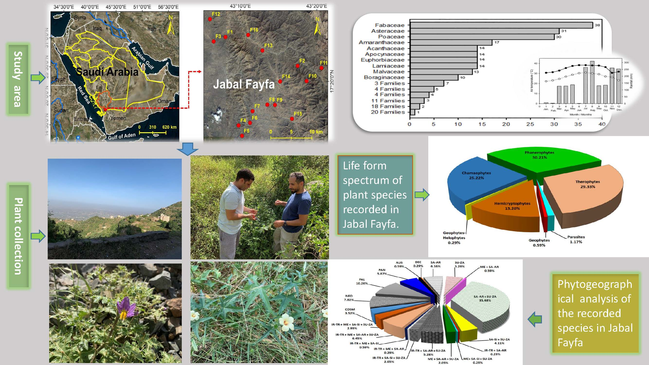 Diversity | Free Full-Text | Floristic Diversity and Phytogeography of  JABAL Fayfa: A Subtropical Dry Zone, South-West Saudi Arabia | HTML
