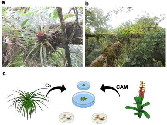 Natural Connections: Kids and bugs - Superior Telegram