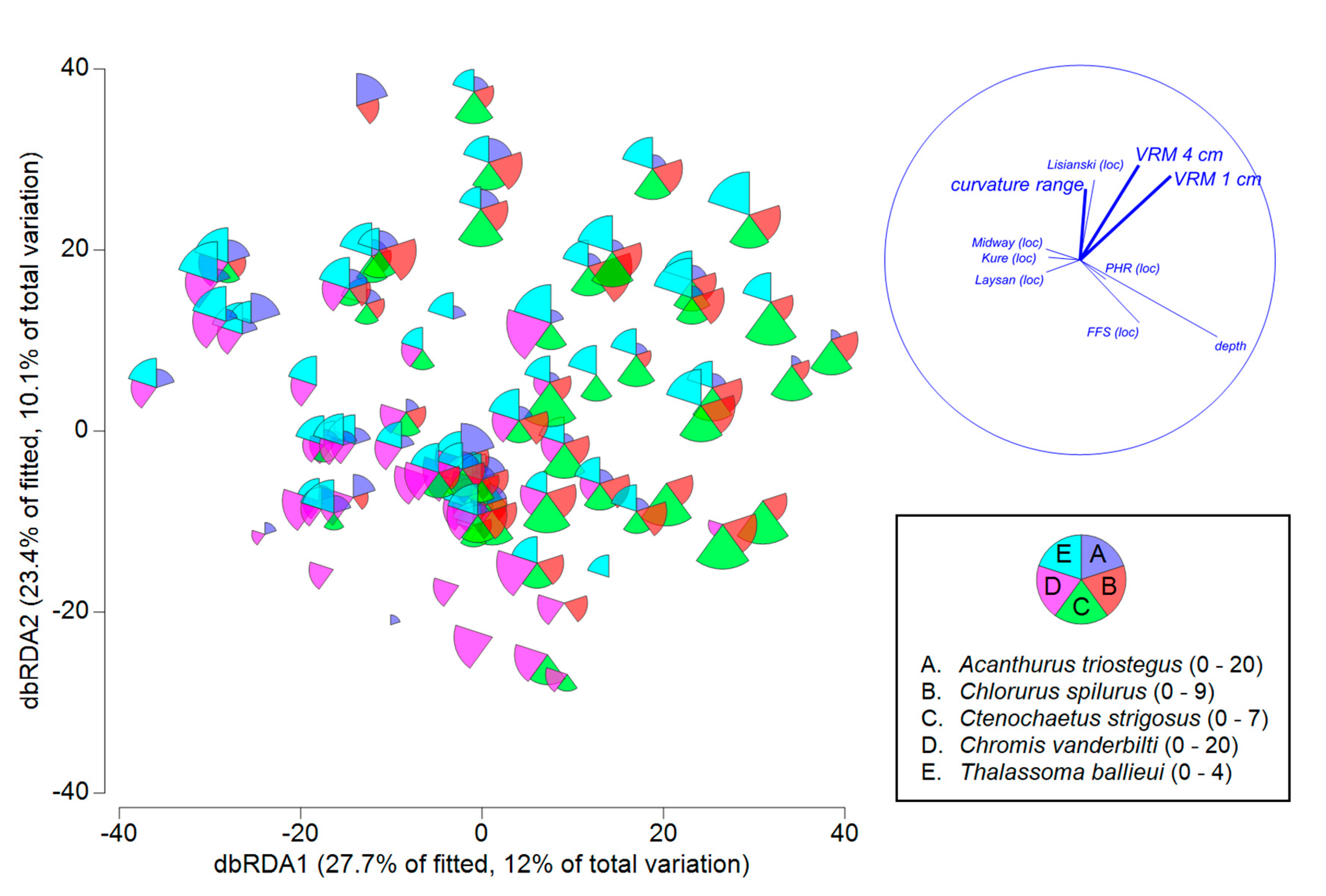 Diversity 12 00430 g006 Diversity 12 00430 g006
