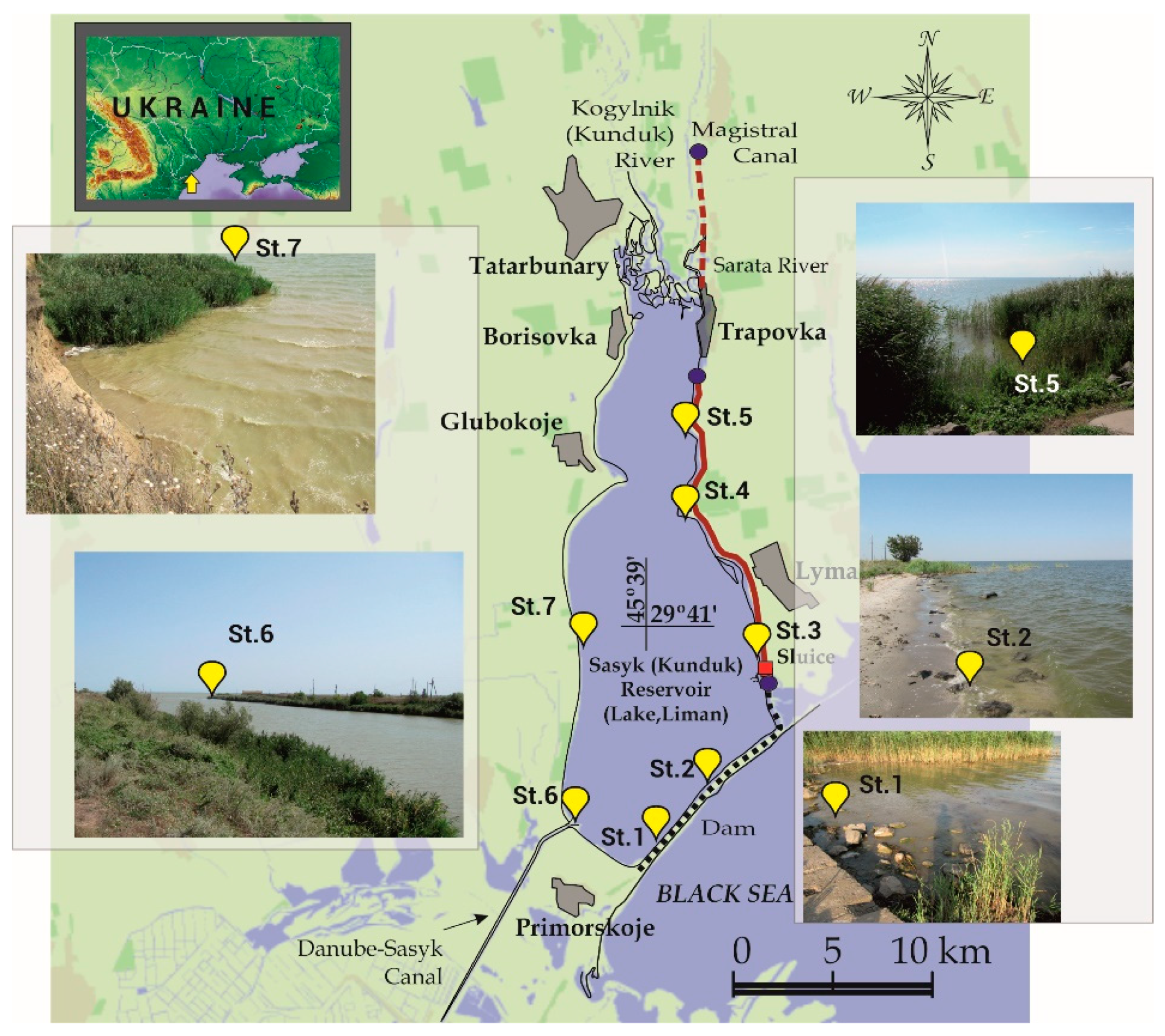 Diversity Free Full Text Benthic Diatom Composition In Coastal Zone Of Black Sea Sasyk Reservoir Ukraine Html