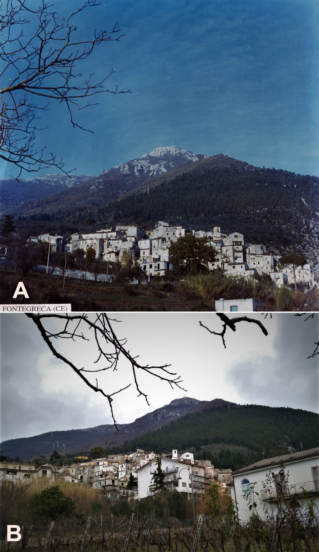 Diversity 12 00461 g006 Diversity 12 00461 g006