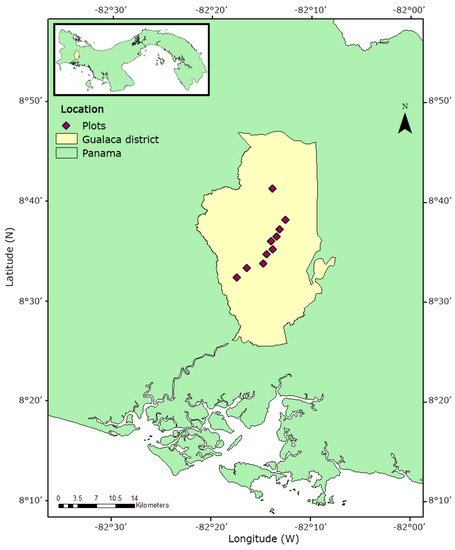 Diversity Free Full Text Vascular Epiphyte Assemblages On Isolated Trees Along An Elevational Gradient In Southwest Panama Html