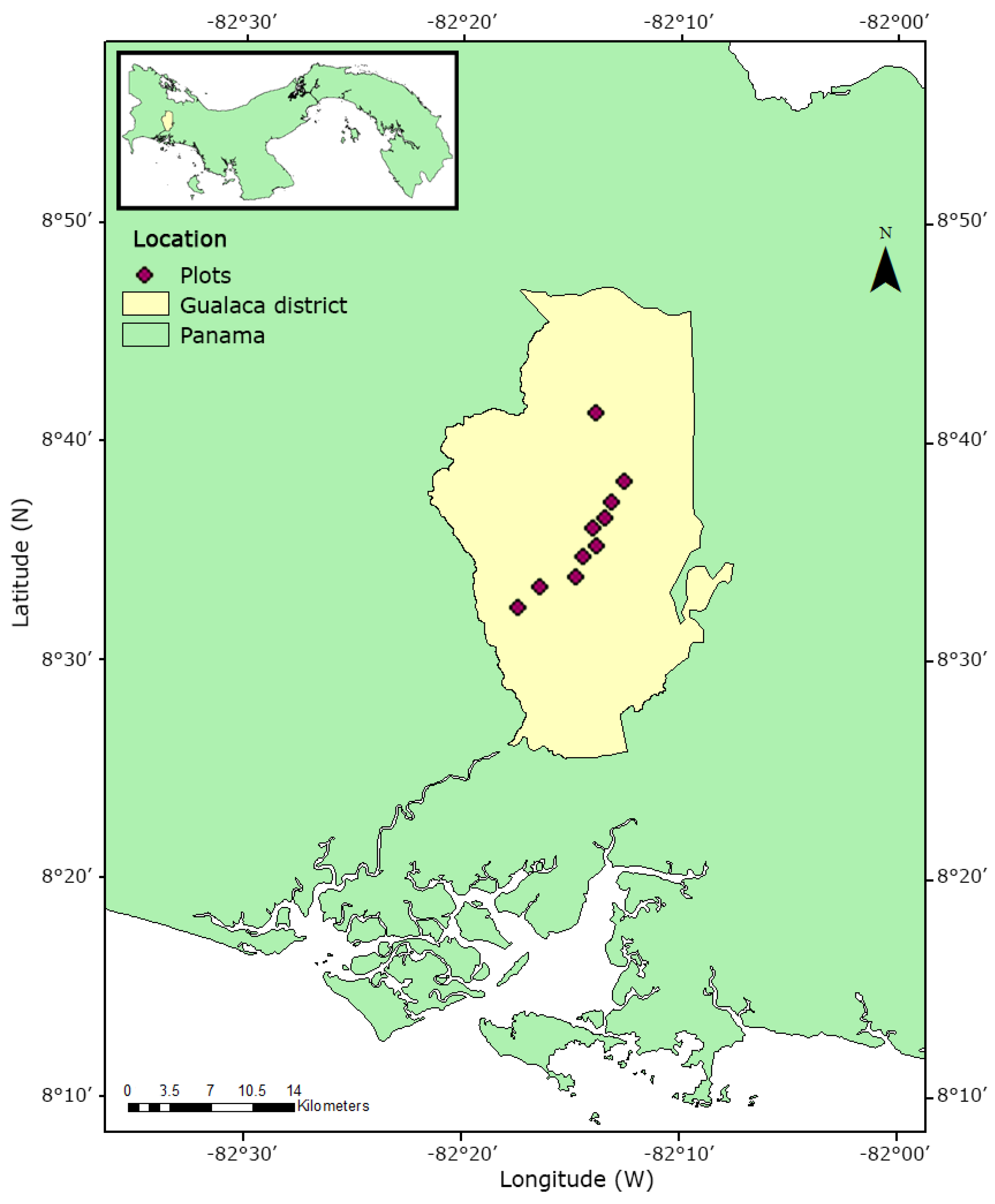 PDF) Vascular epiphytic community along elevational zone in sub-tropical  forest ecosystem