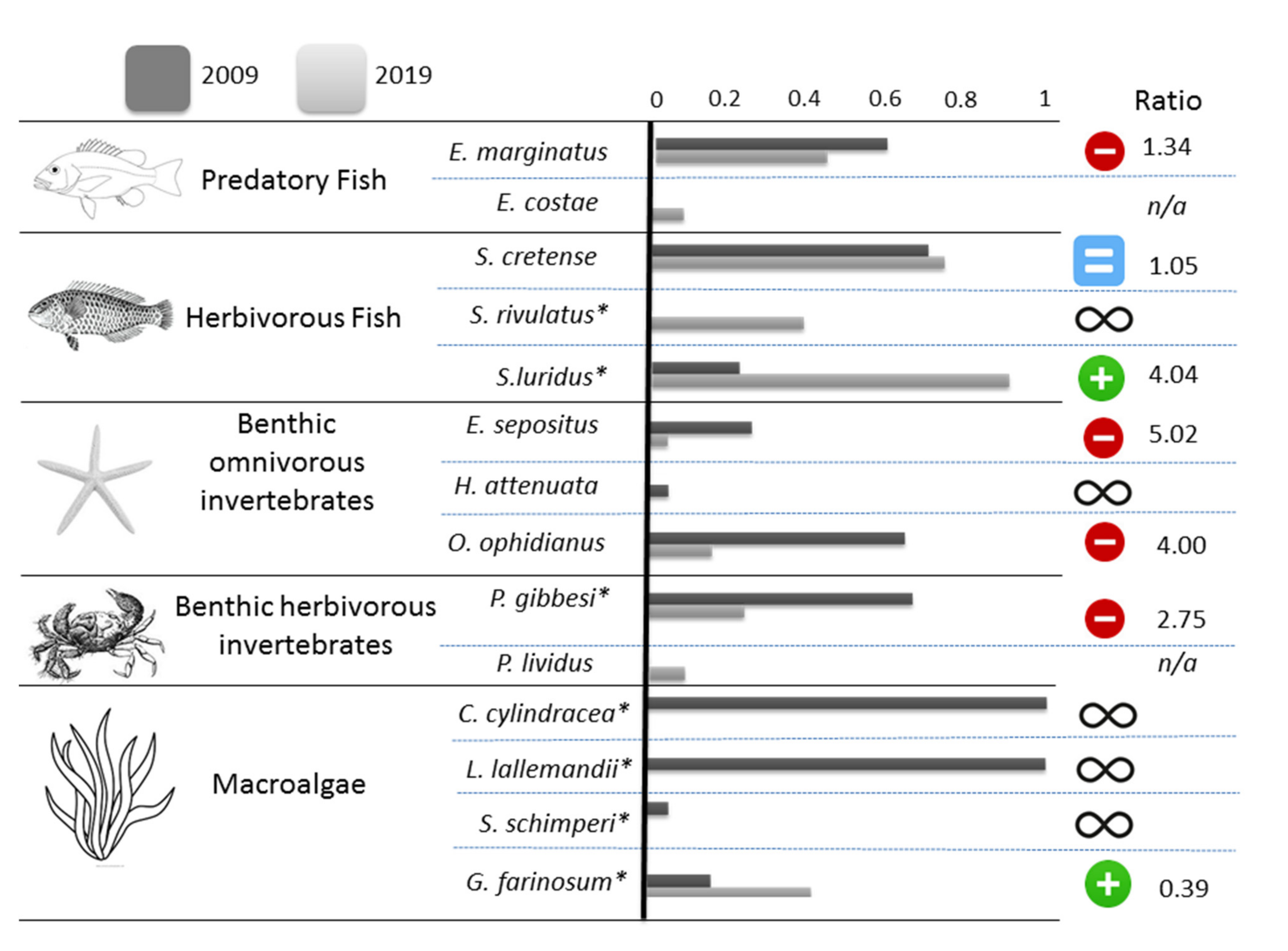 Diversity 13 00071 g002