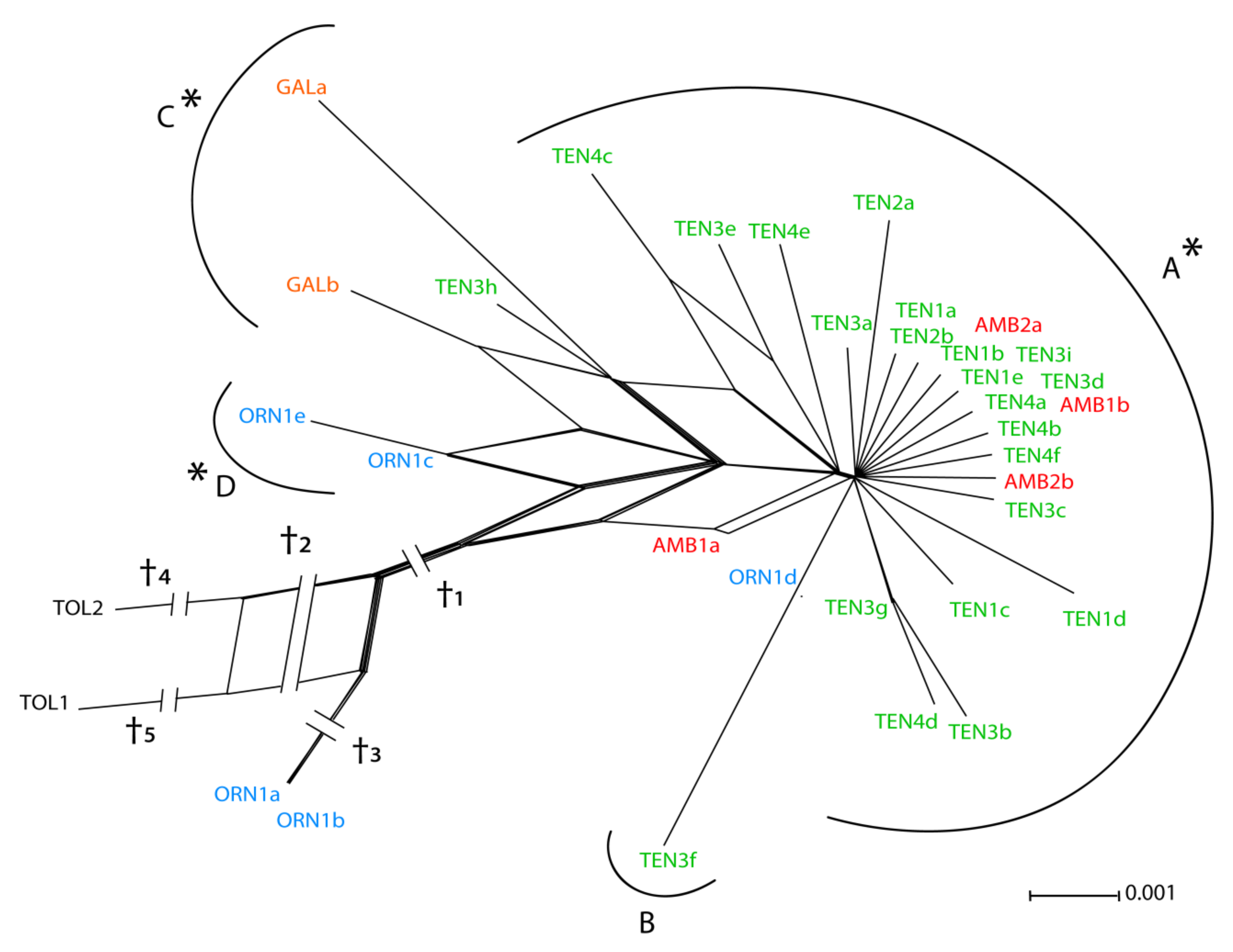 Diversity 13 00072 g003