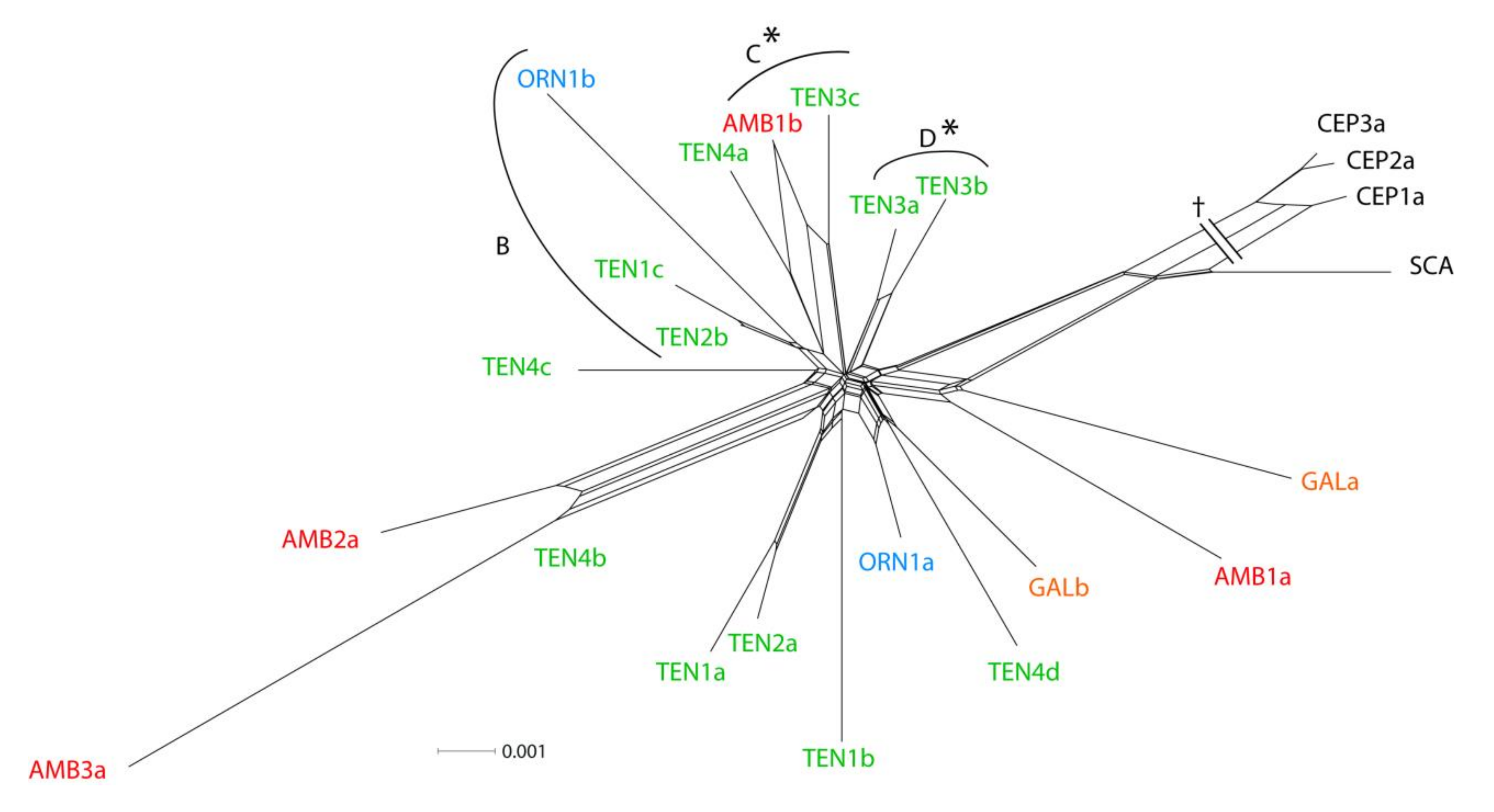 Diversity 13 00072 g004