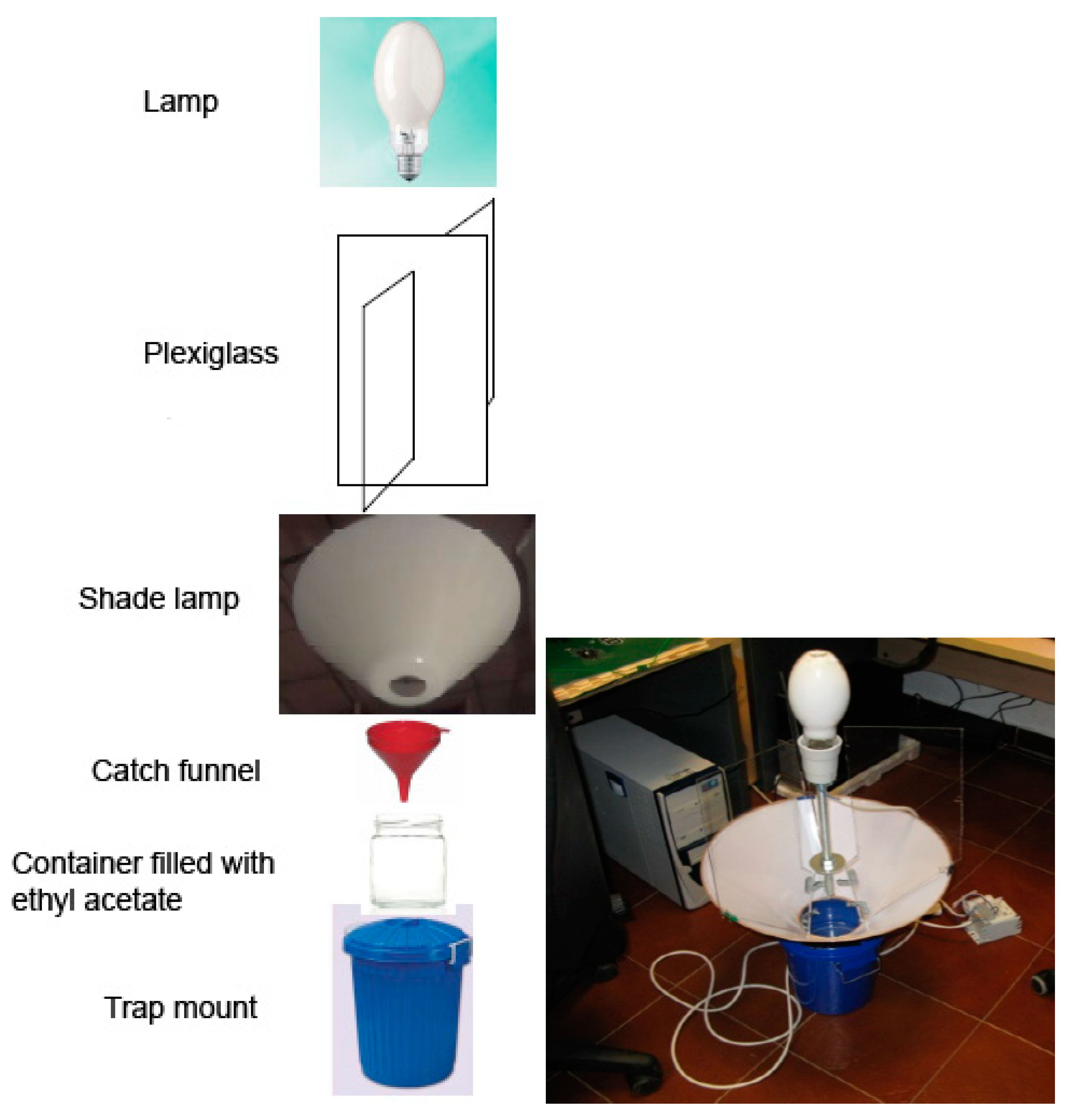 Diversity | Free Full-Text | Light-Emitting Diodes (LED): A Promising  Street Light System to Reduce the Attraction to Light of Insects | HTML