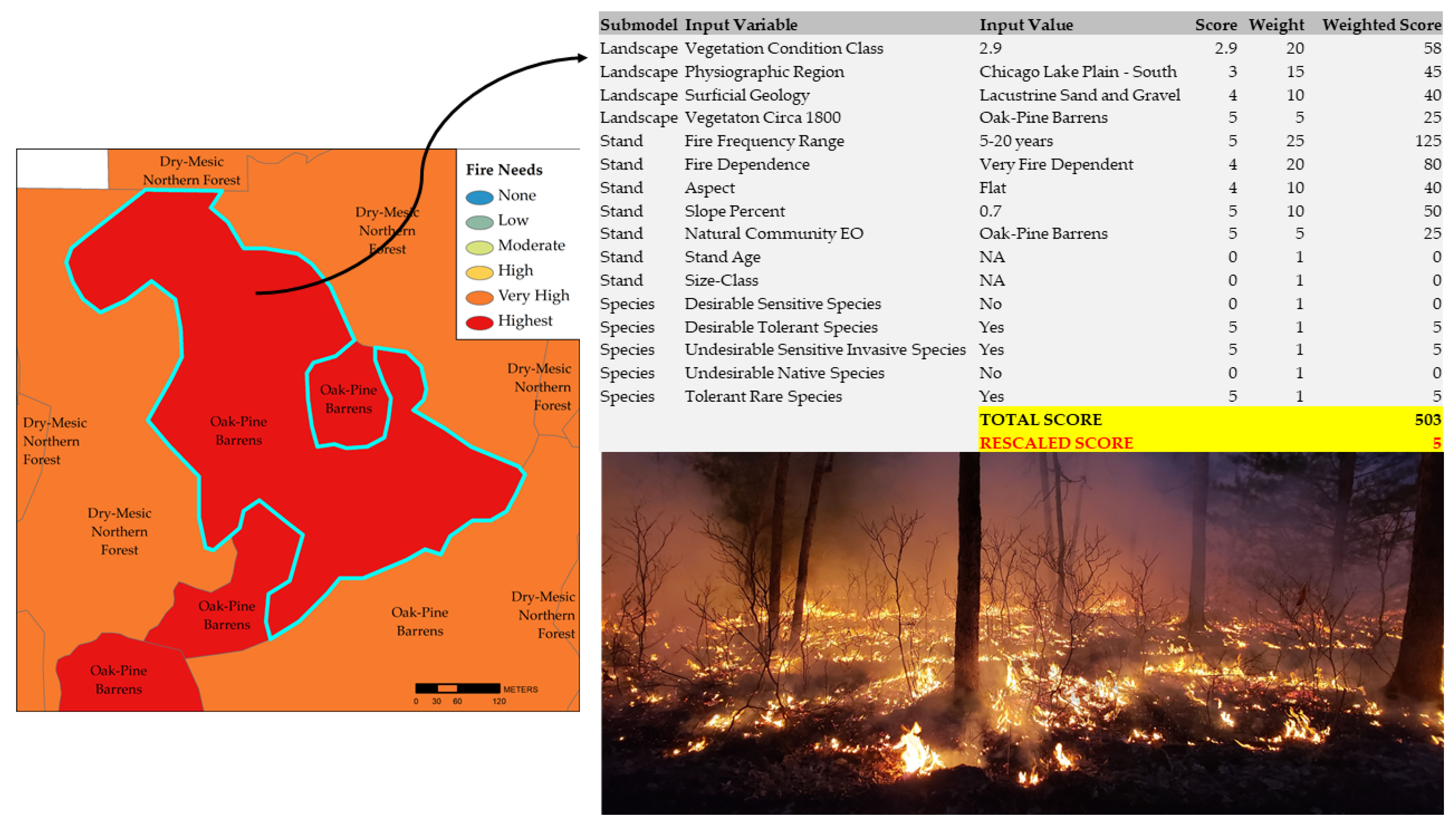 Diversity 13 00100 g003