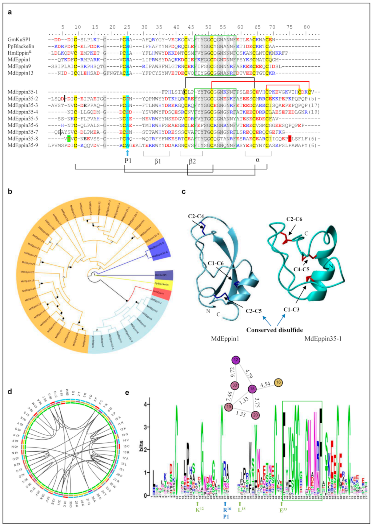 Diversity | Free Full-Text | Molecular Diversity And Evolution Of ...