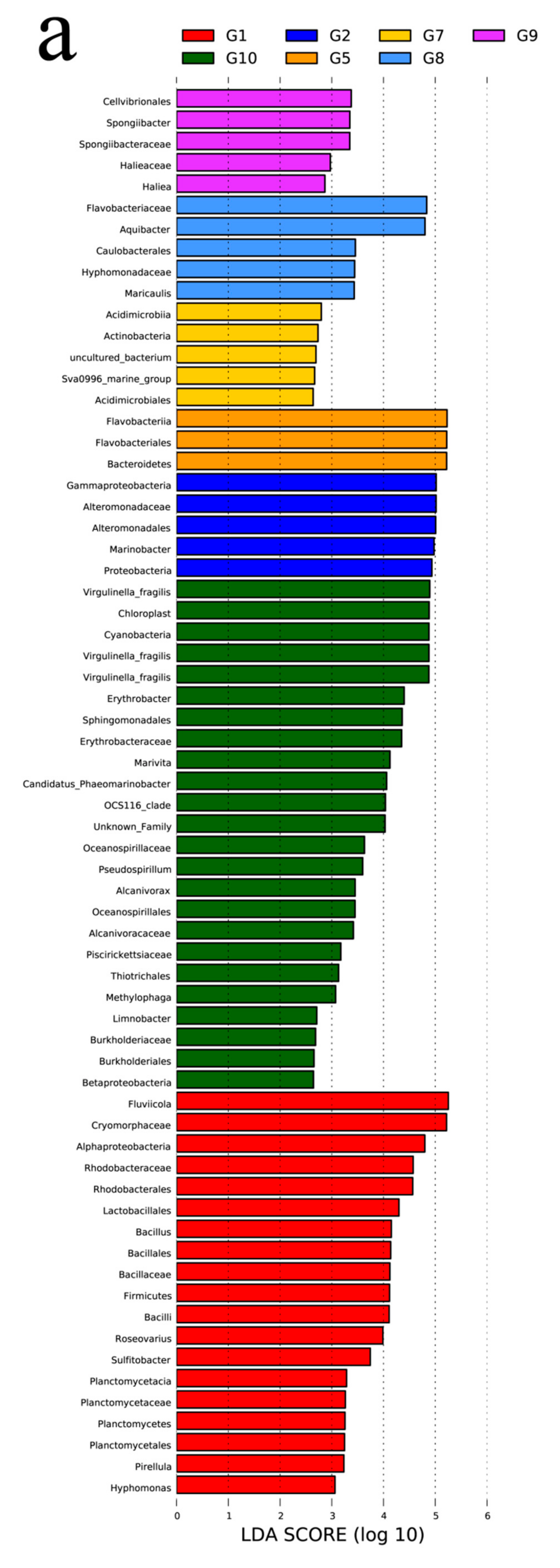 Diversity 13 00150 g004a