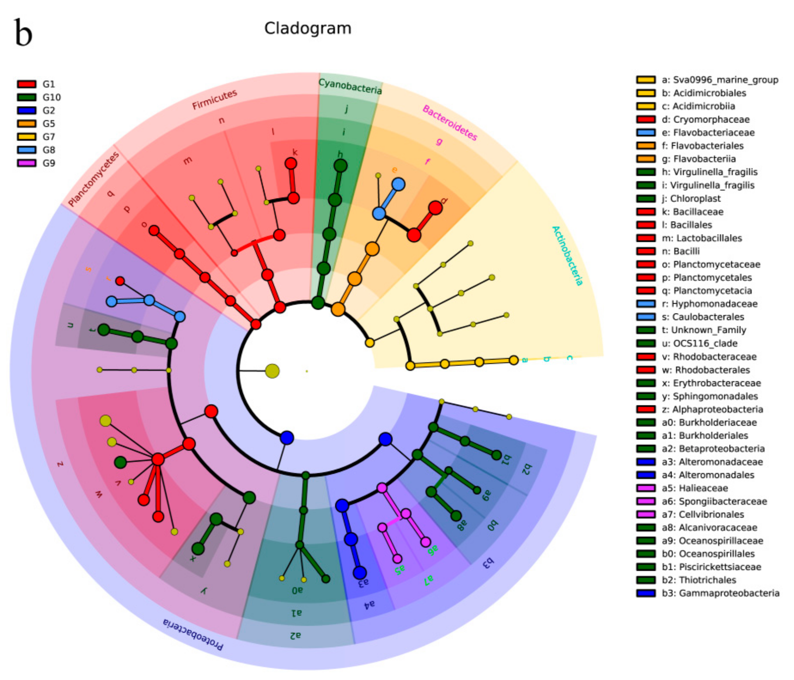 Diversity 13 00150 g004b