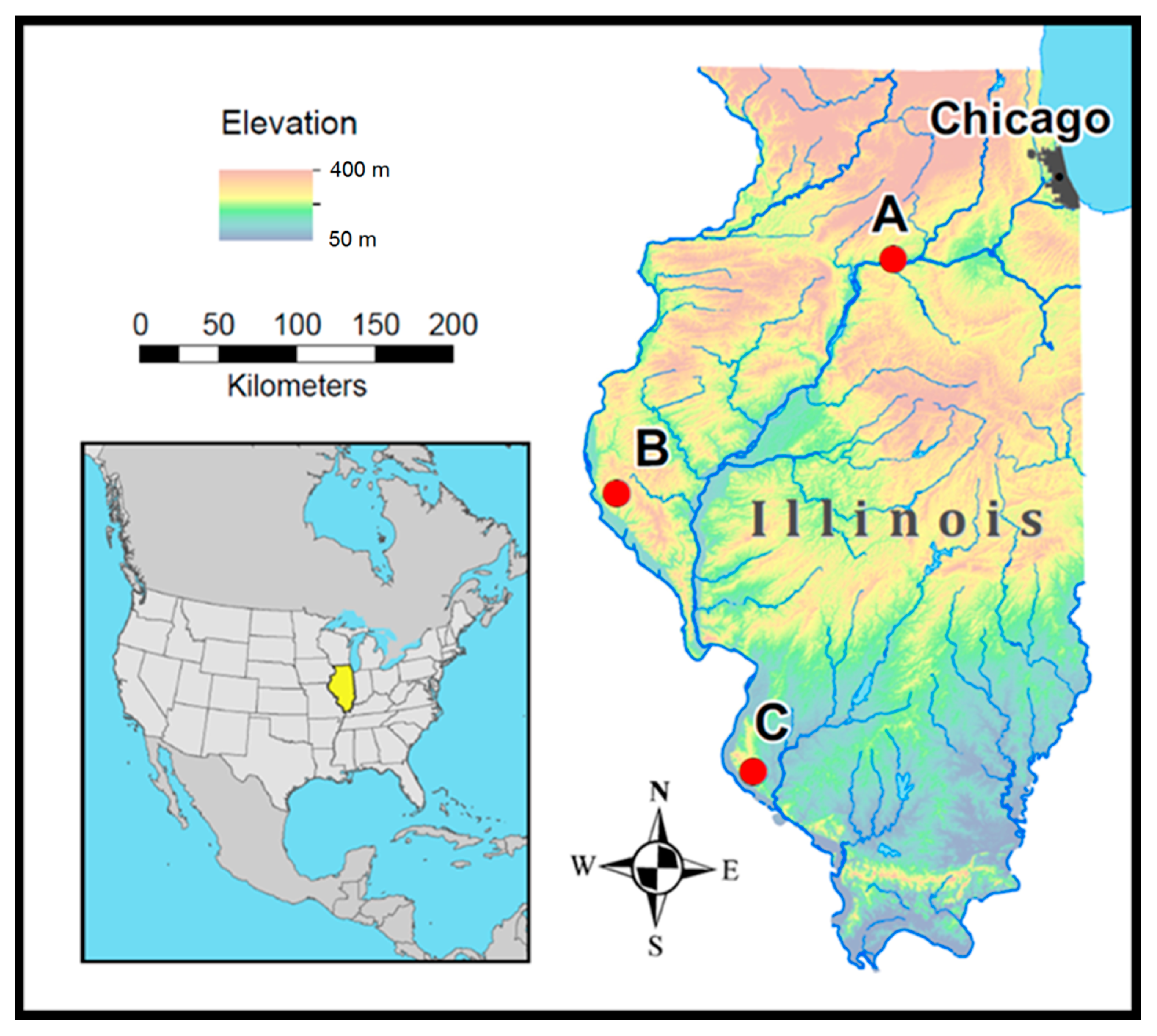 Diversity 13 00188 g001