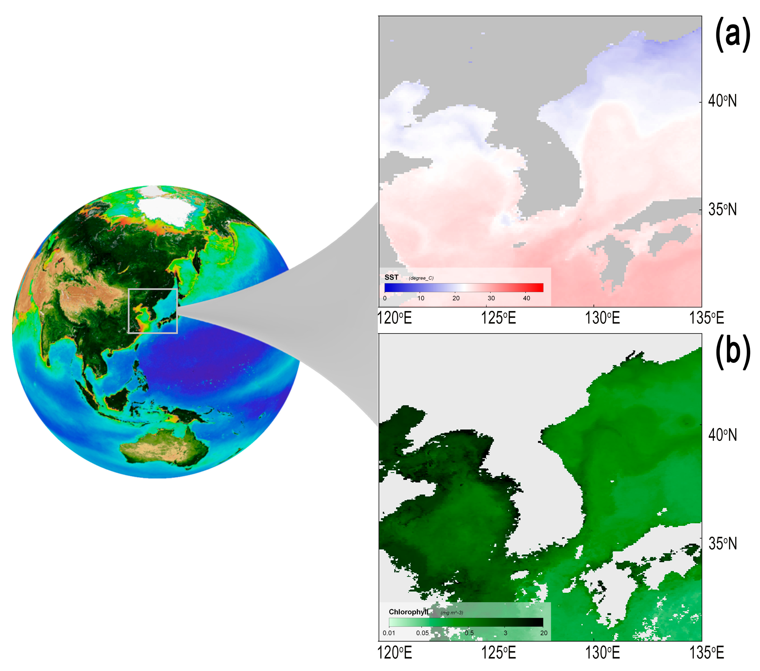 Diversity | Free Full-Text | Contrasting Effects of Regional and