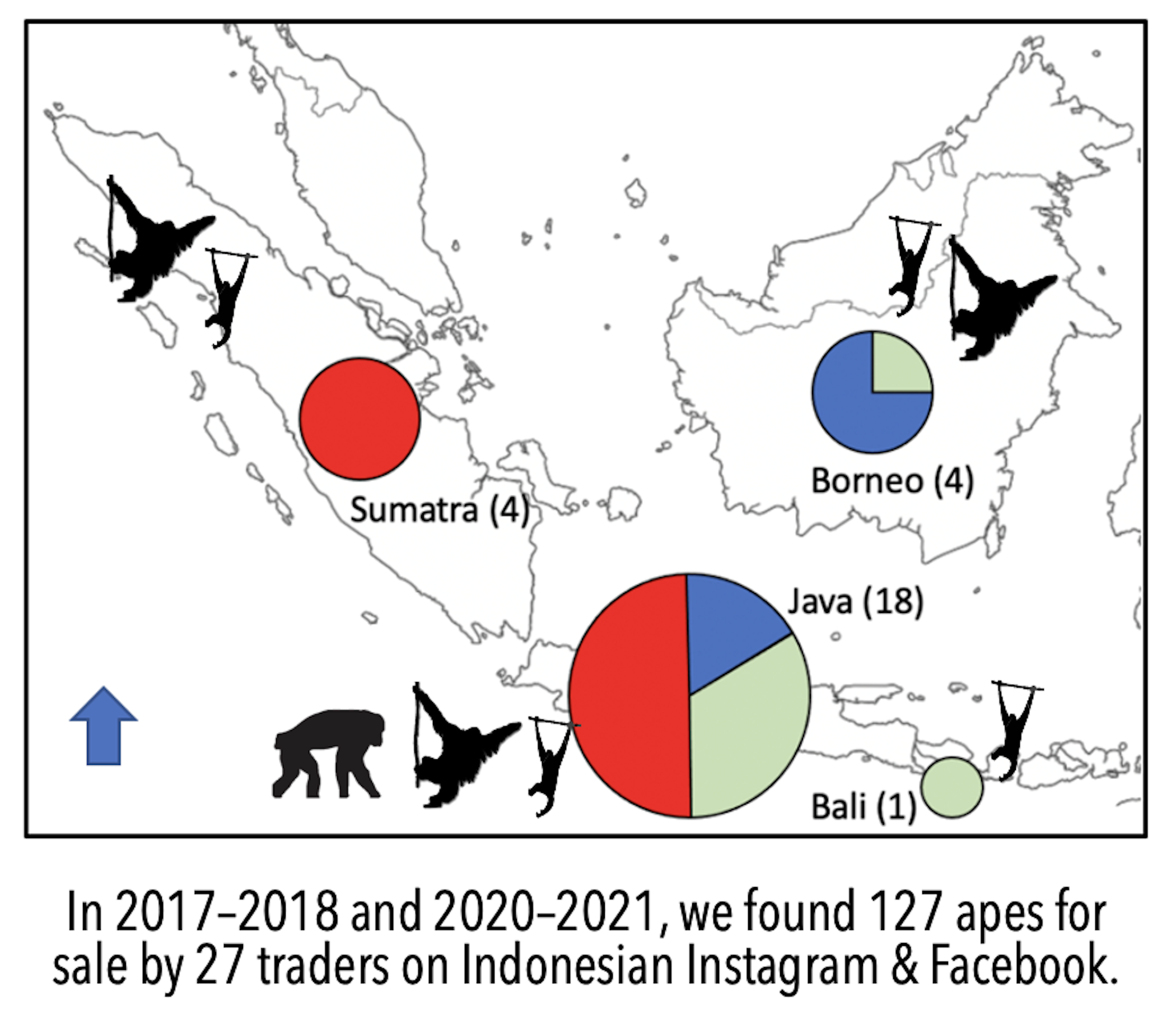 Diversity | Free Full-Text | Monitoring the Trade of Legally Protected  Wildlife on Facebook and Instagram Illustrated by the Advertising and Sale  of Apes in Indonesia | HTML