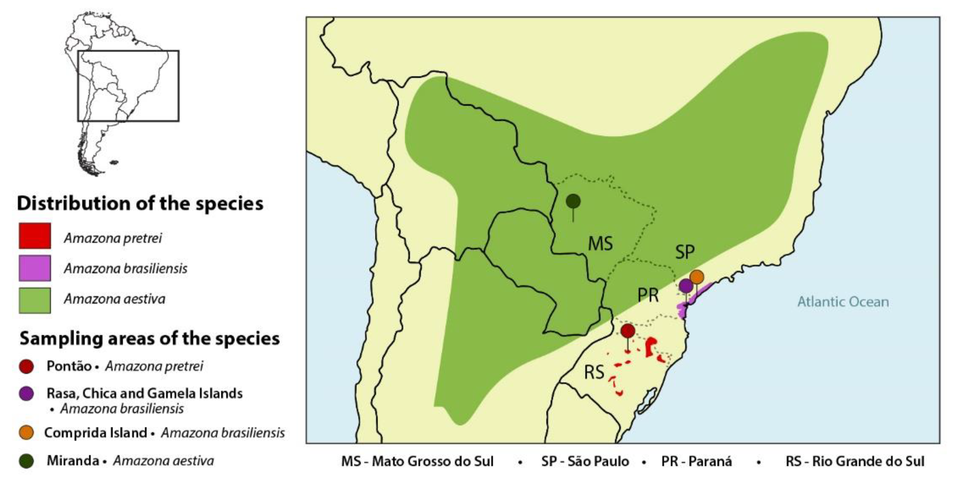Diversity | Free Full-Text | Molecular Survey of Pathogens in Wild Amazon  Parrot Nestlings: Implications for Conservation
