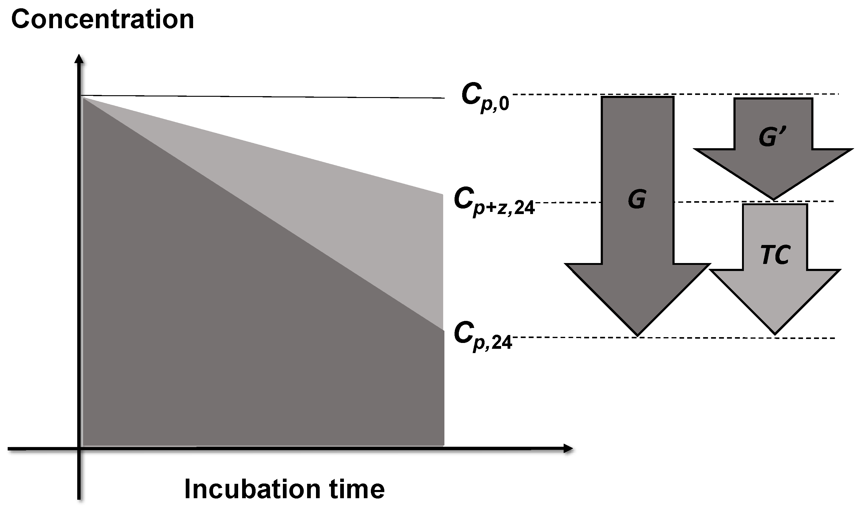 Diversity 13 00299 g003